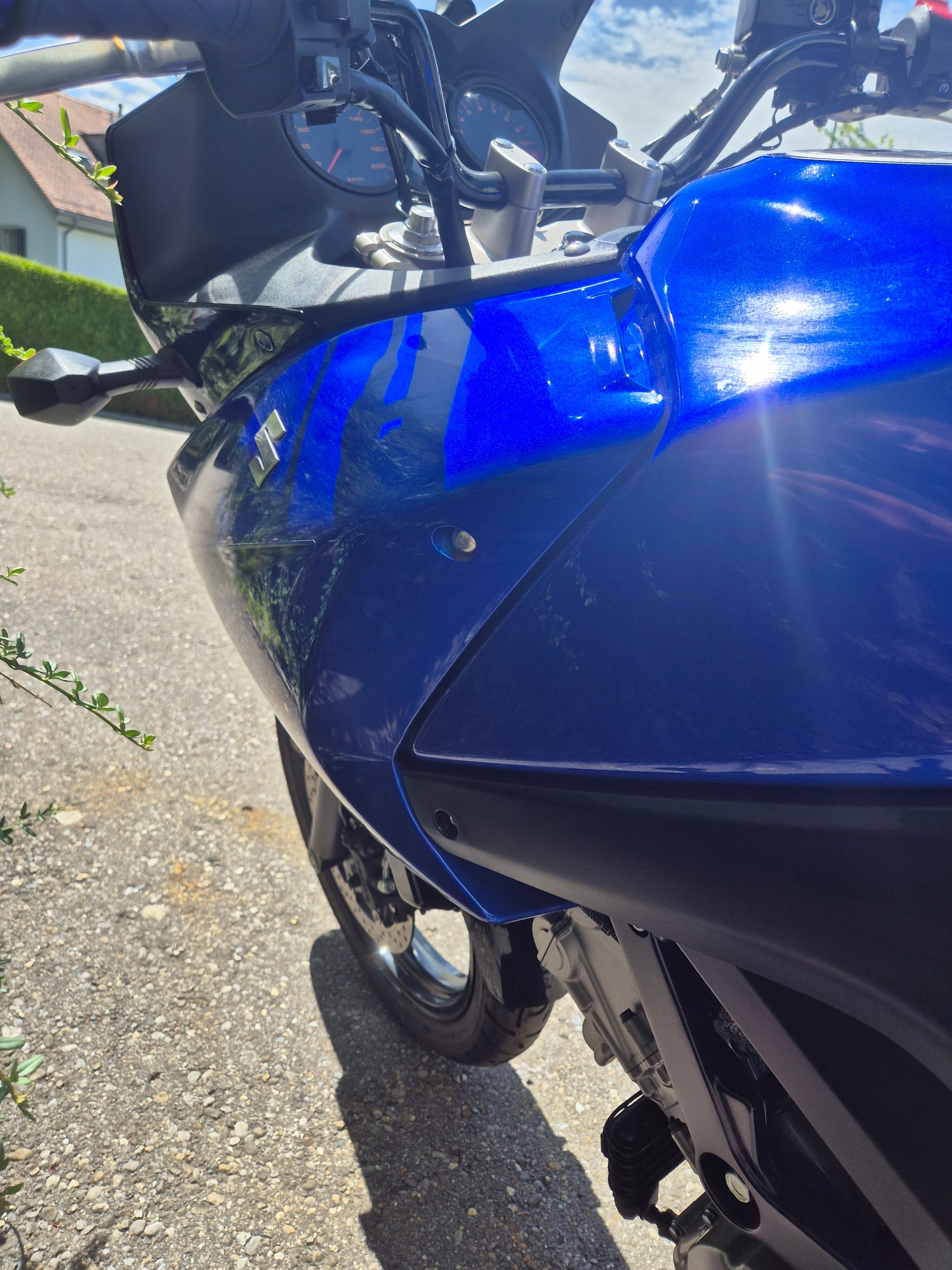 SUZUKI-image-3