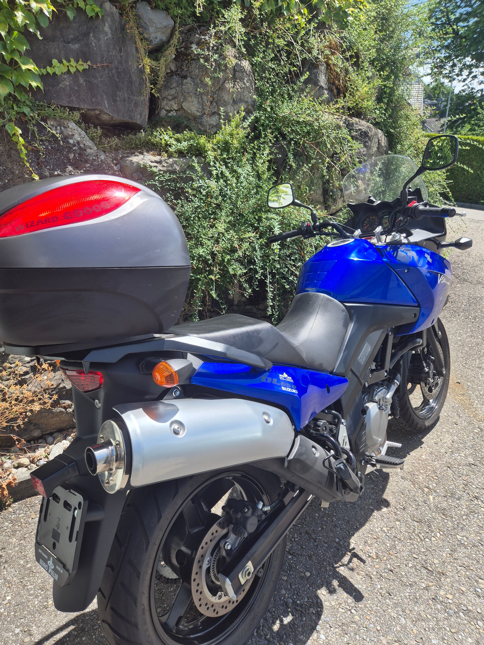 SUZUKI-image-2