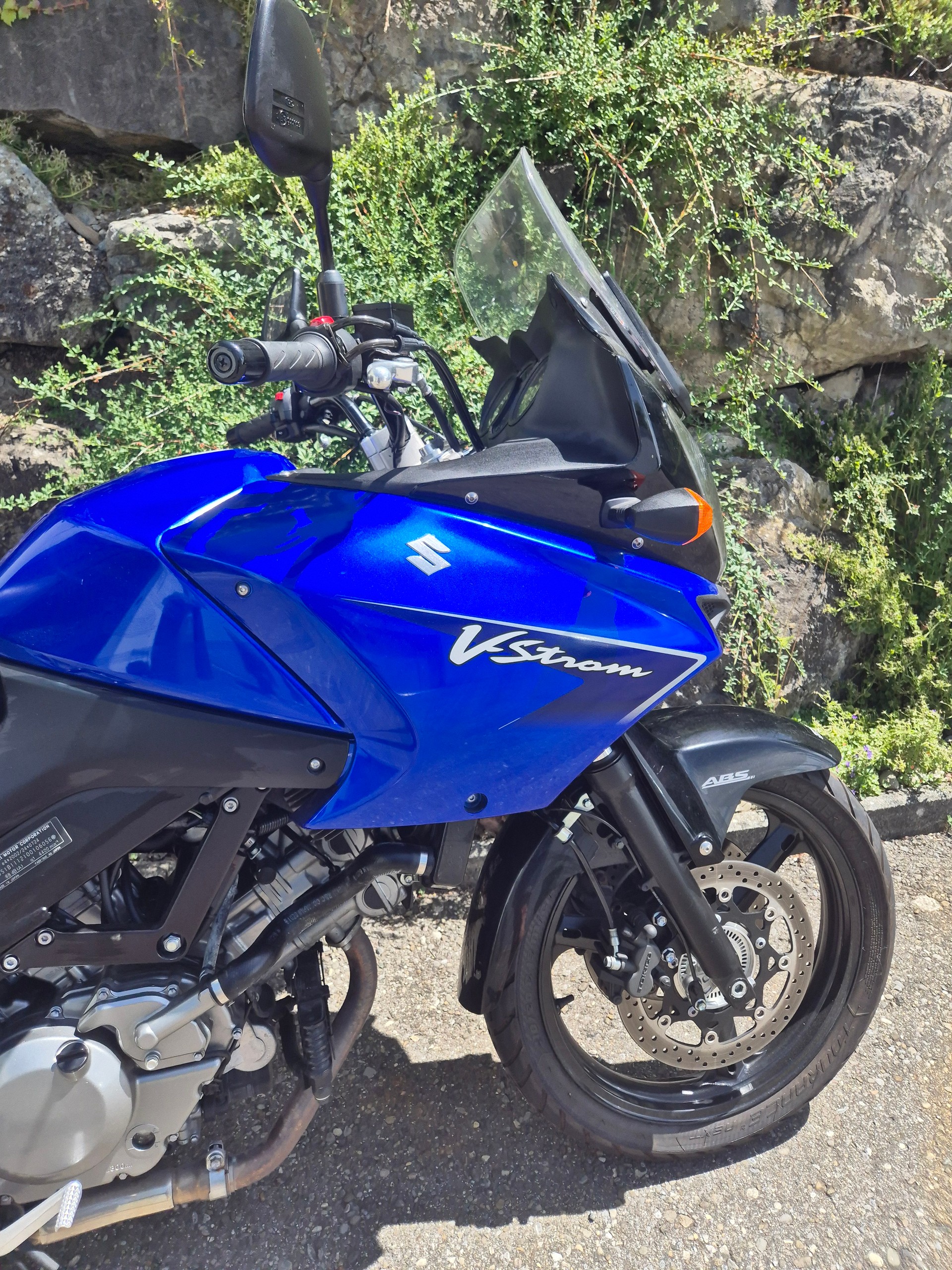 SUZUKI-image-1