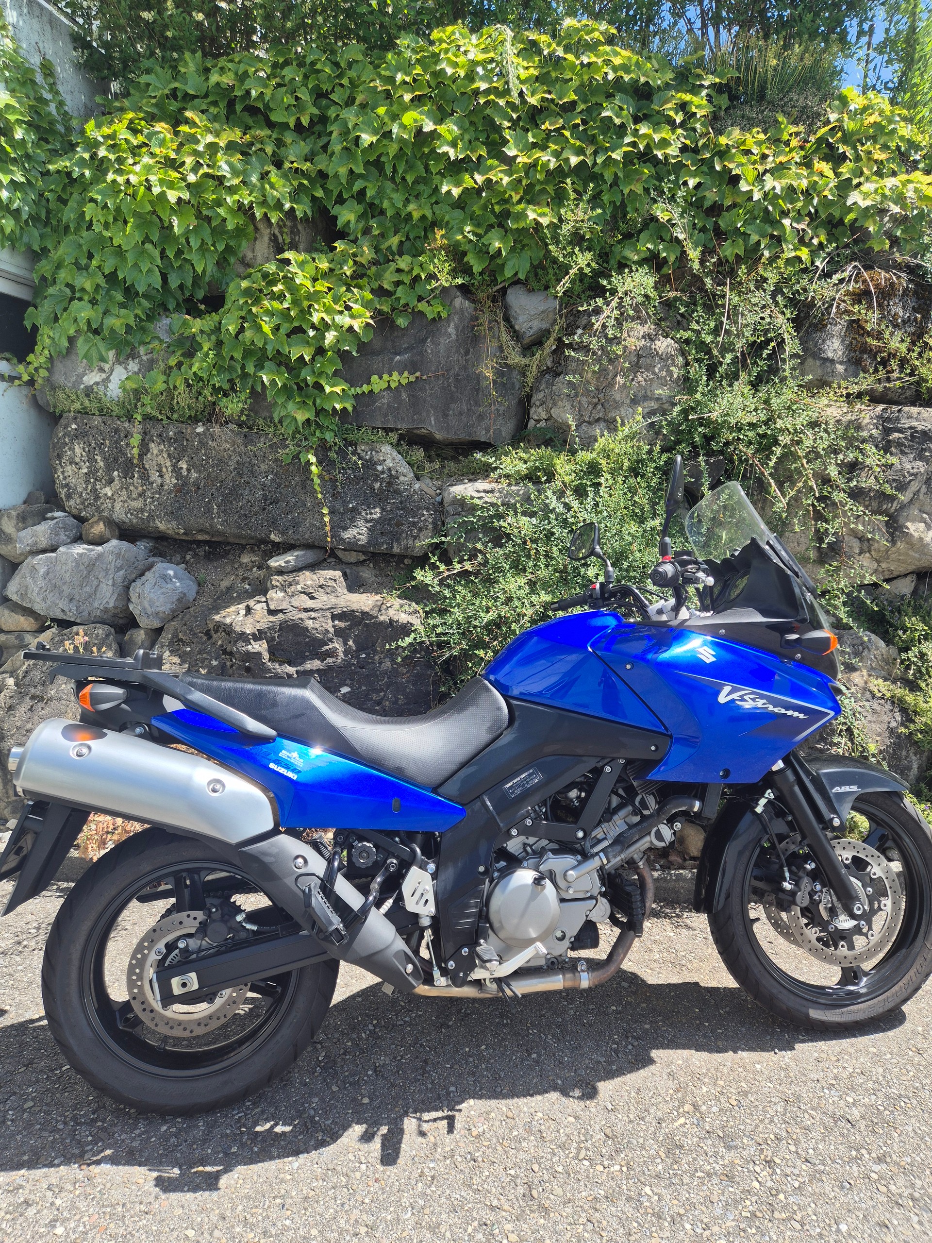 SUZUKI-image-11