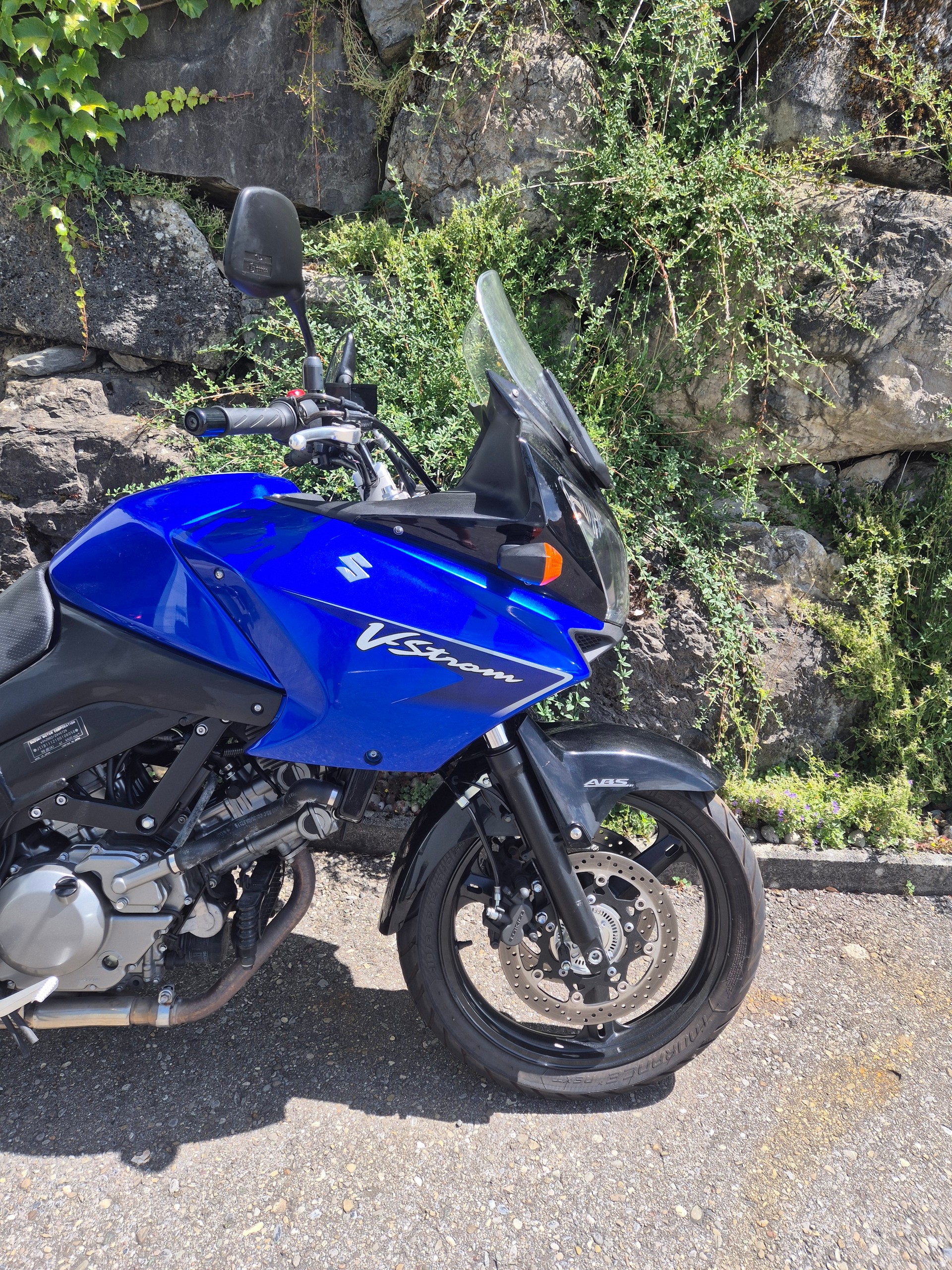 SUZUKI-image-12