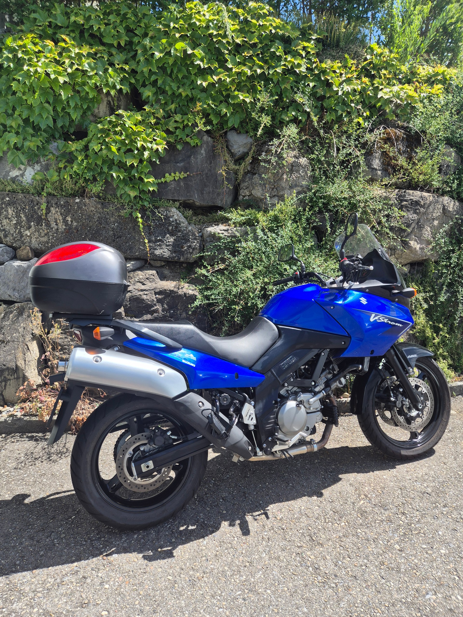 SUZUKI-image-4