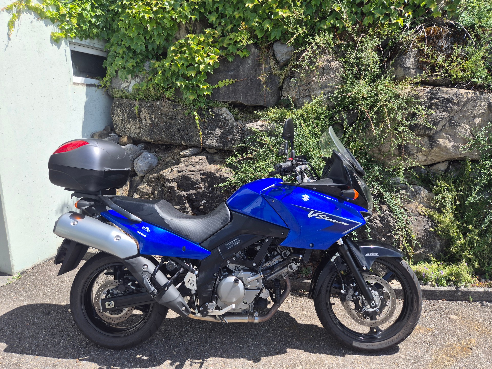 SUZUKI-image-0