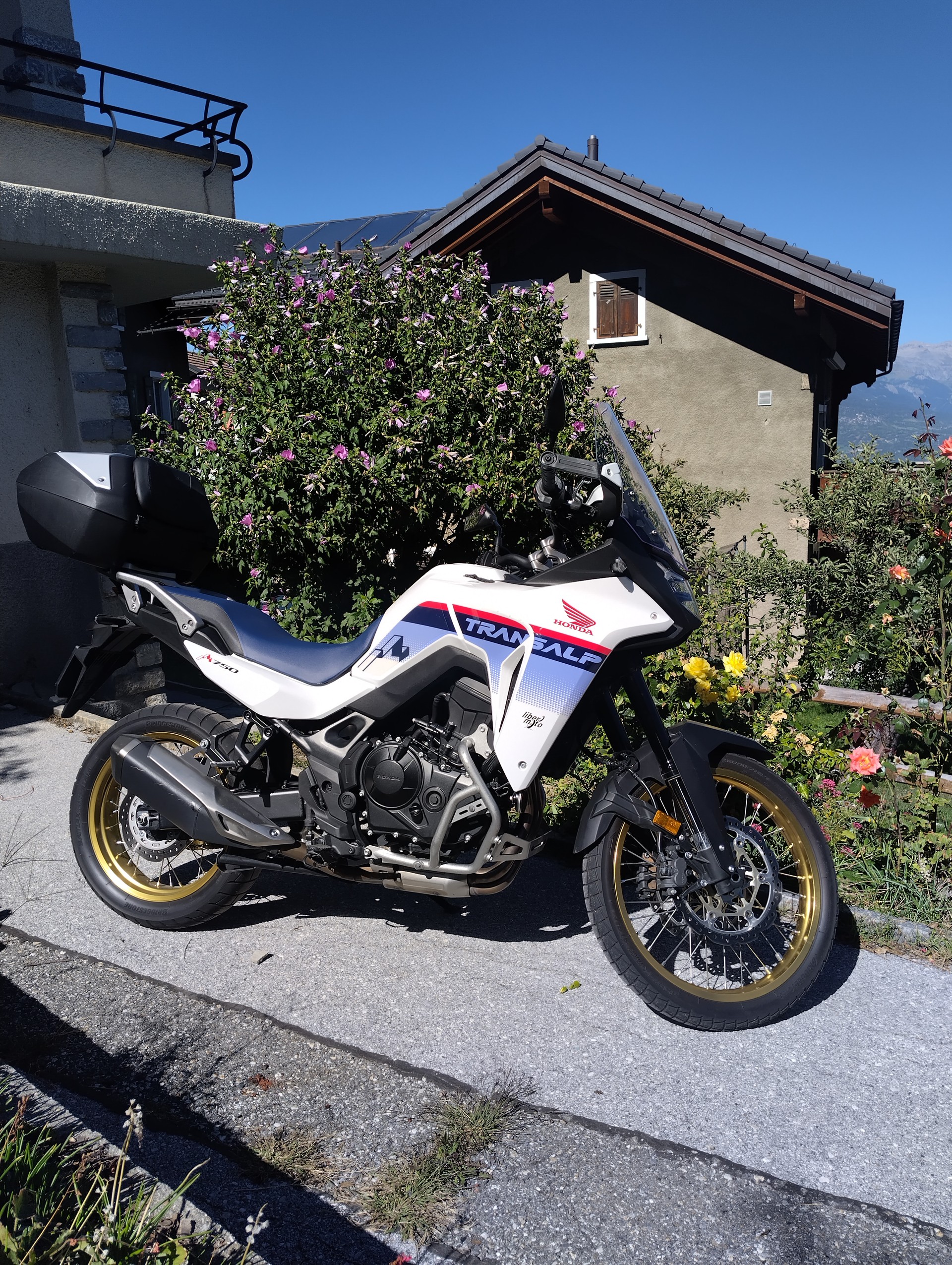 HONDA XL 750 Transalp-image-1