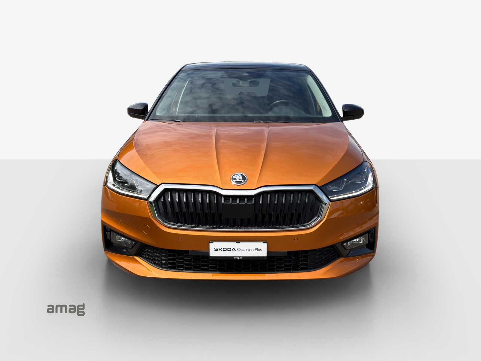 SKODA Fabia 1.0 TSI Style DSG-image-6