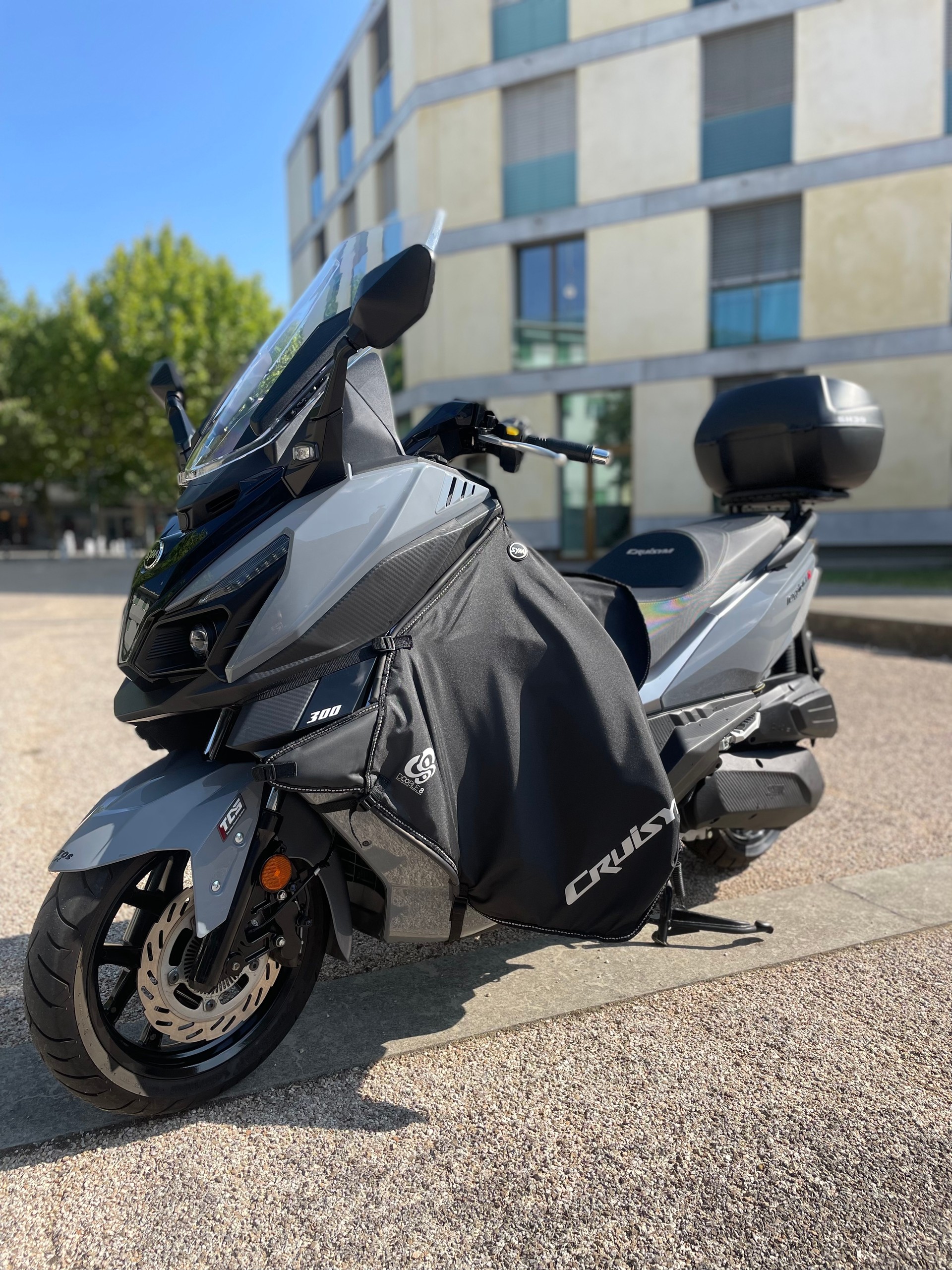 SYM Cruisym 300 i-image-0