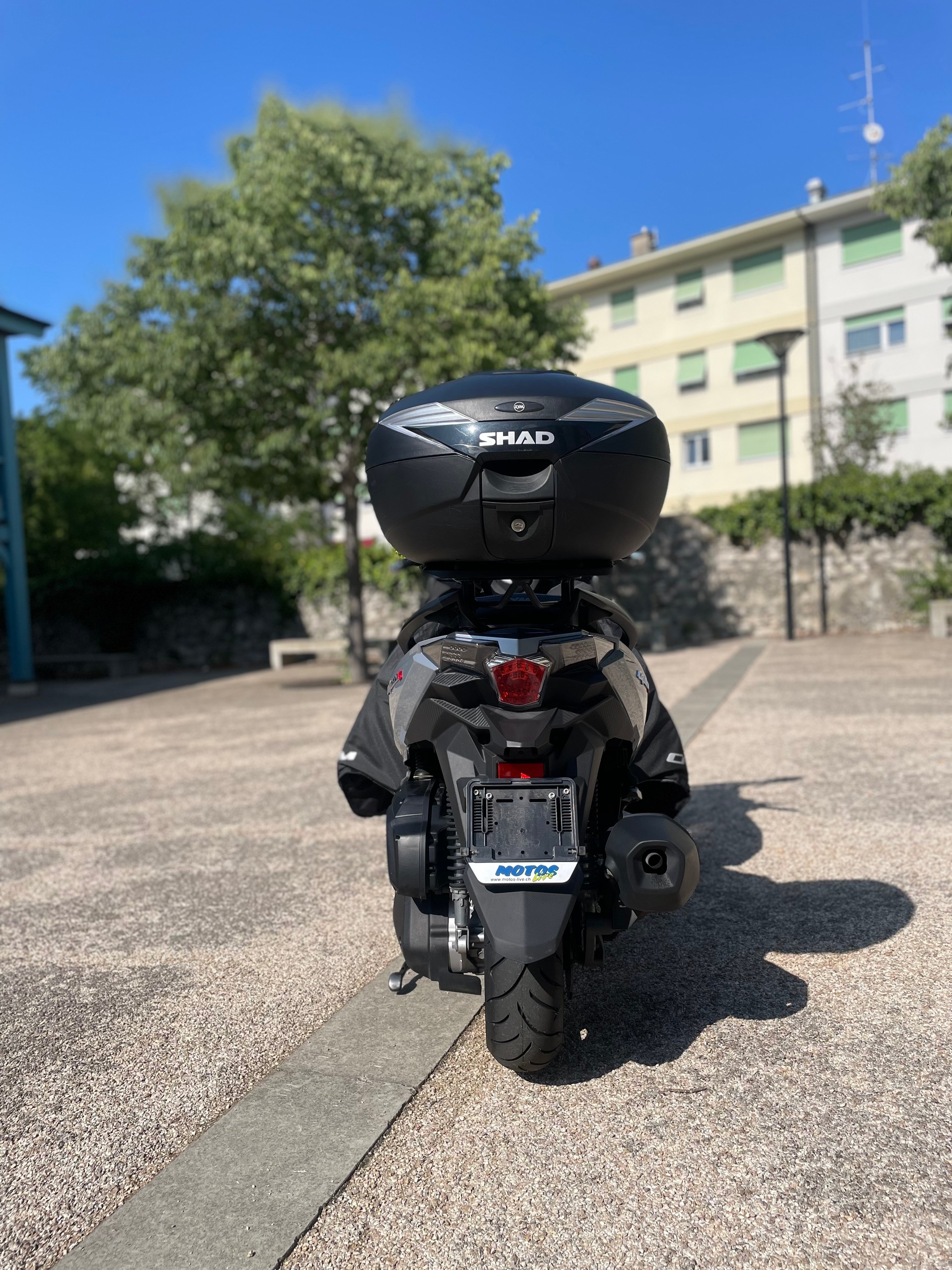 SYM Cruisym 300 i-image-3