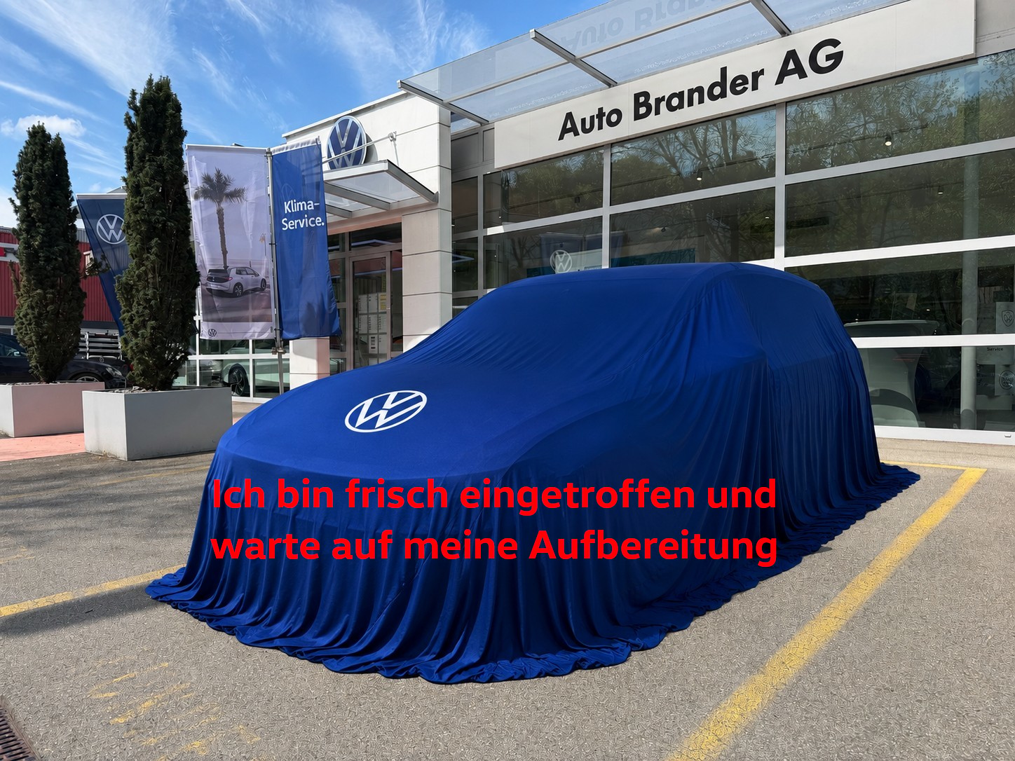 VW Golf 1.5 e TSI mHEV Value DSG