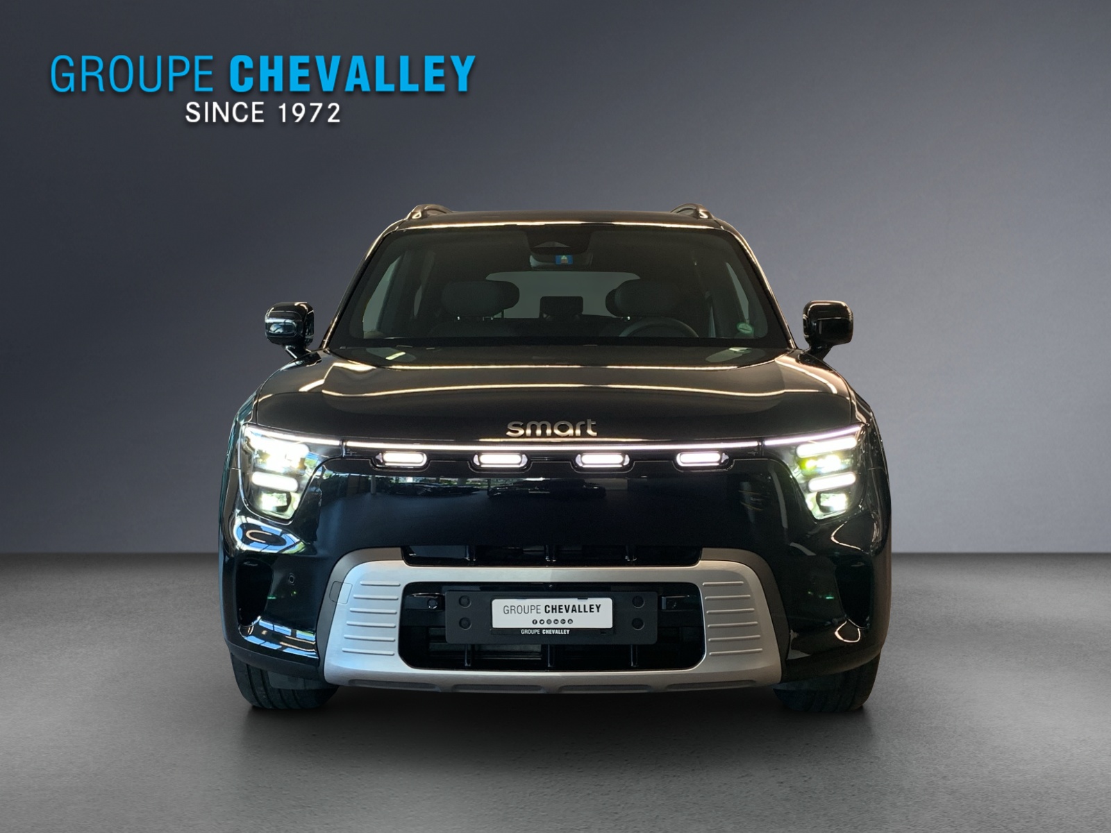 SMART #5 Pulse AWD 100kWh-image-4