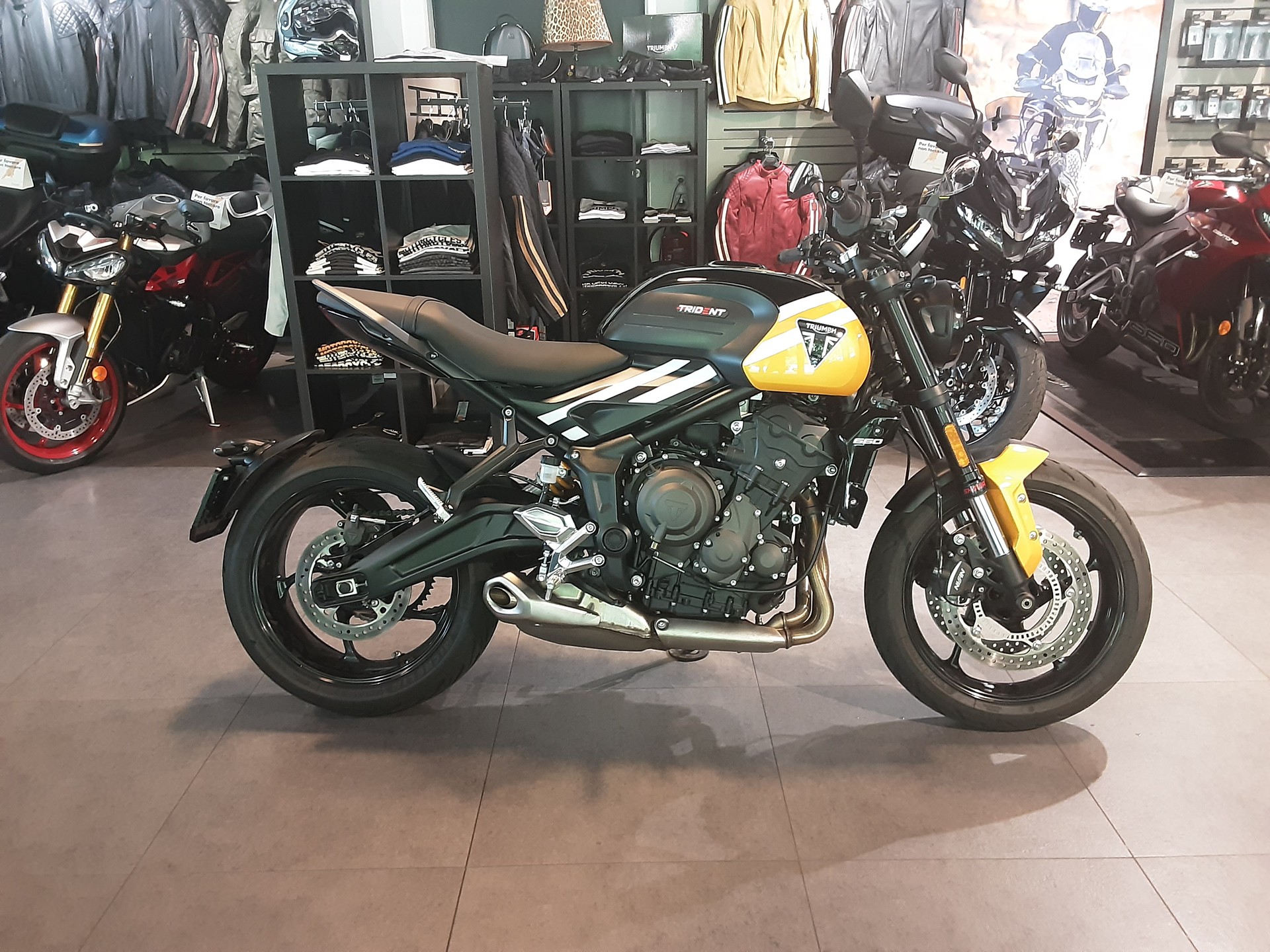 TRIUMPH 660-image-0