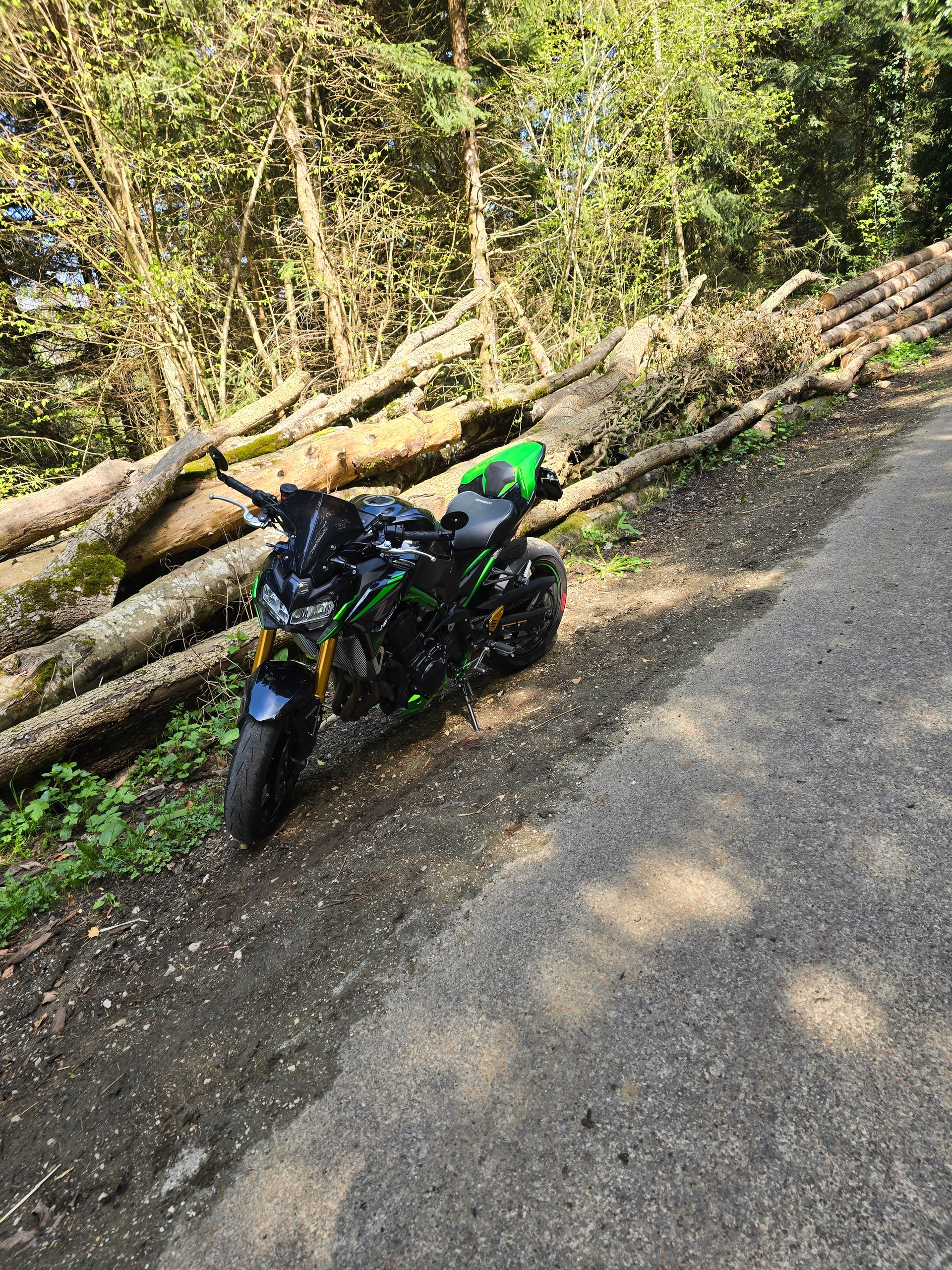 KAWASAKI Z 900 Performance-image-0