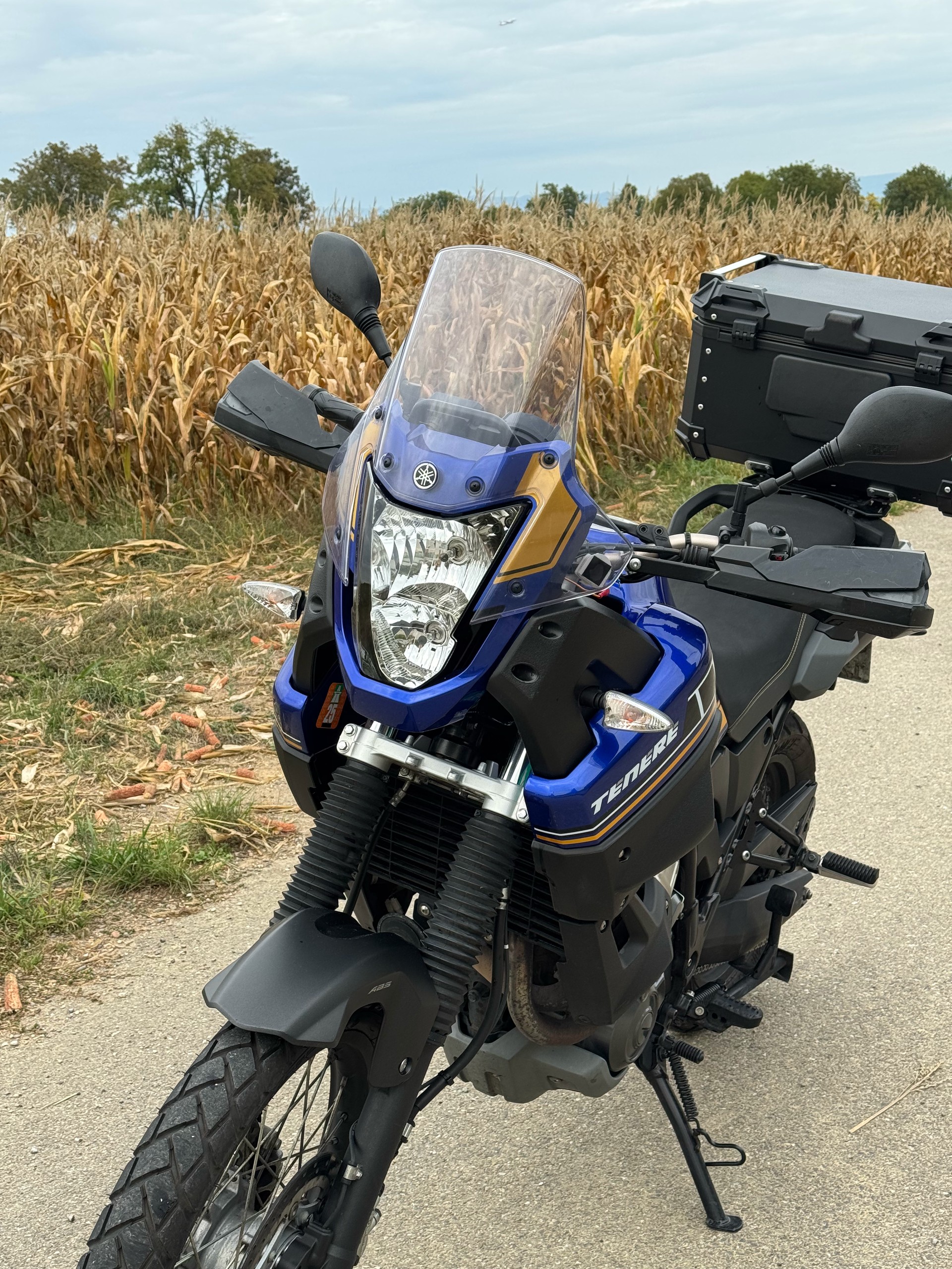 YAMAHA XT 660 Z Ténéré ABS-image-9