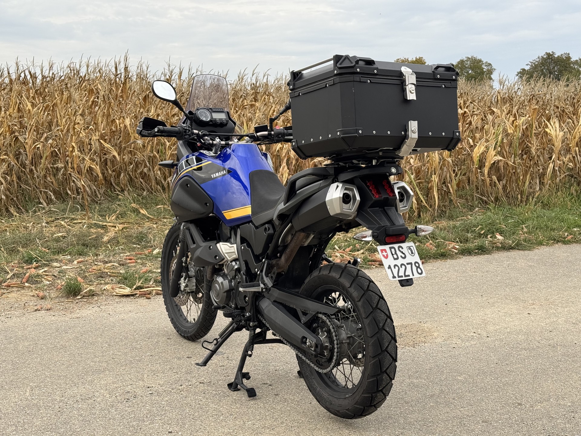 YAMAHA XT 660 Z Ténéré ABS-image-2