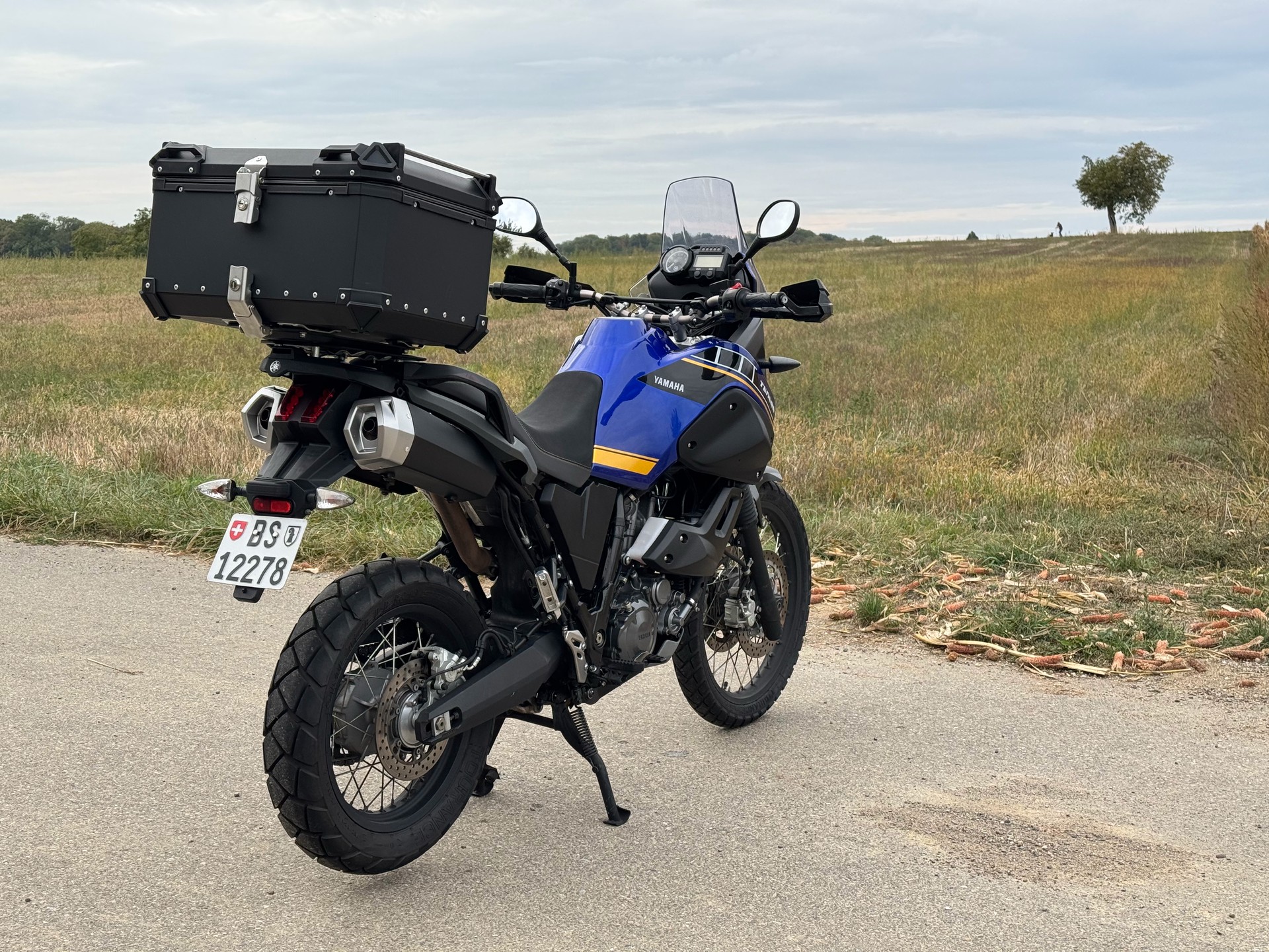 YAMAHA XT 660 Z Ténéré ABS-image-3