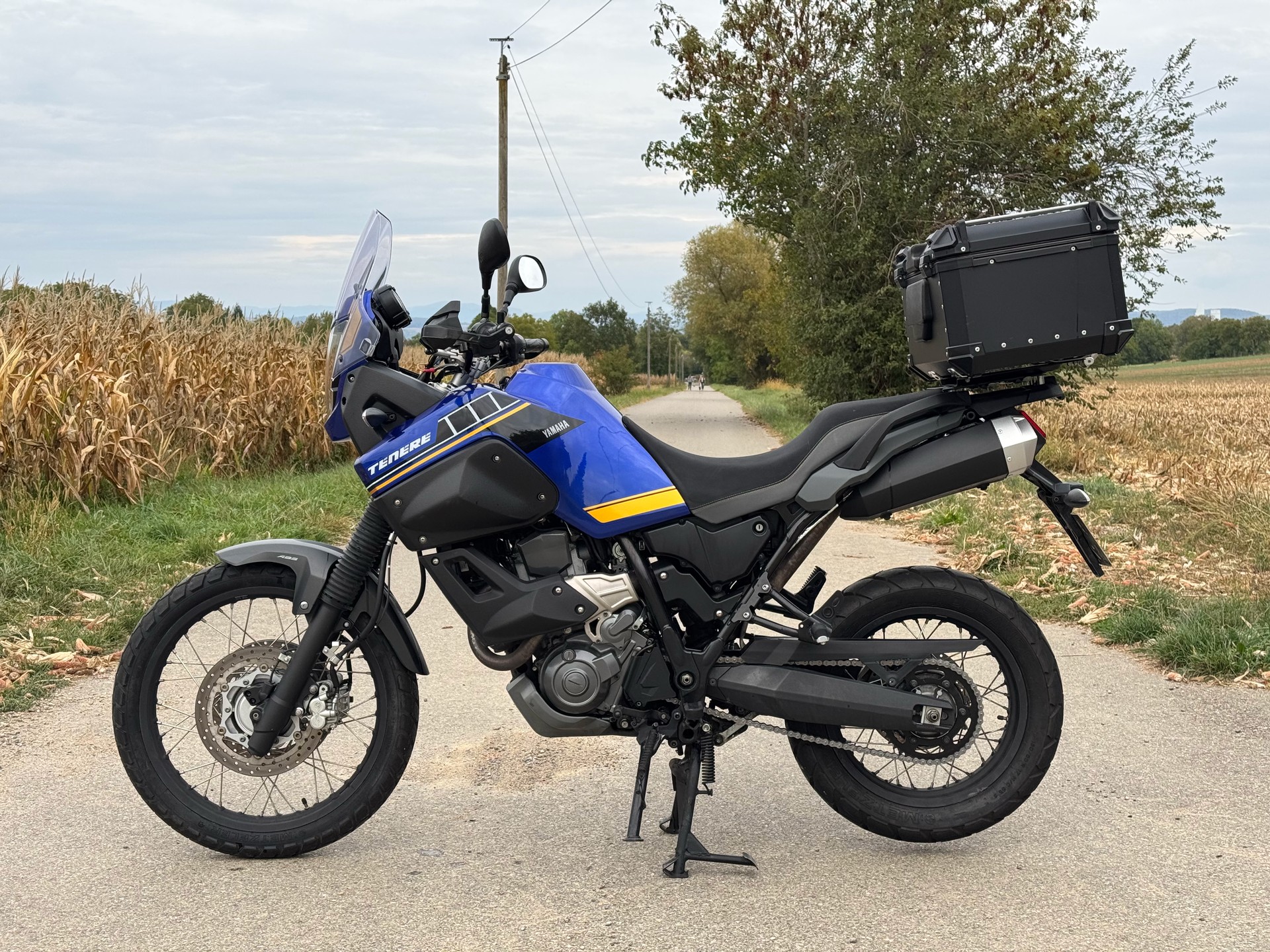 YAMAHA XT 660 Z Ténéré ABS-image-1