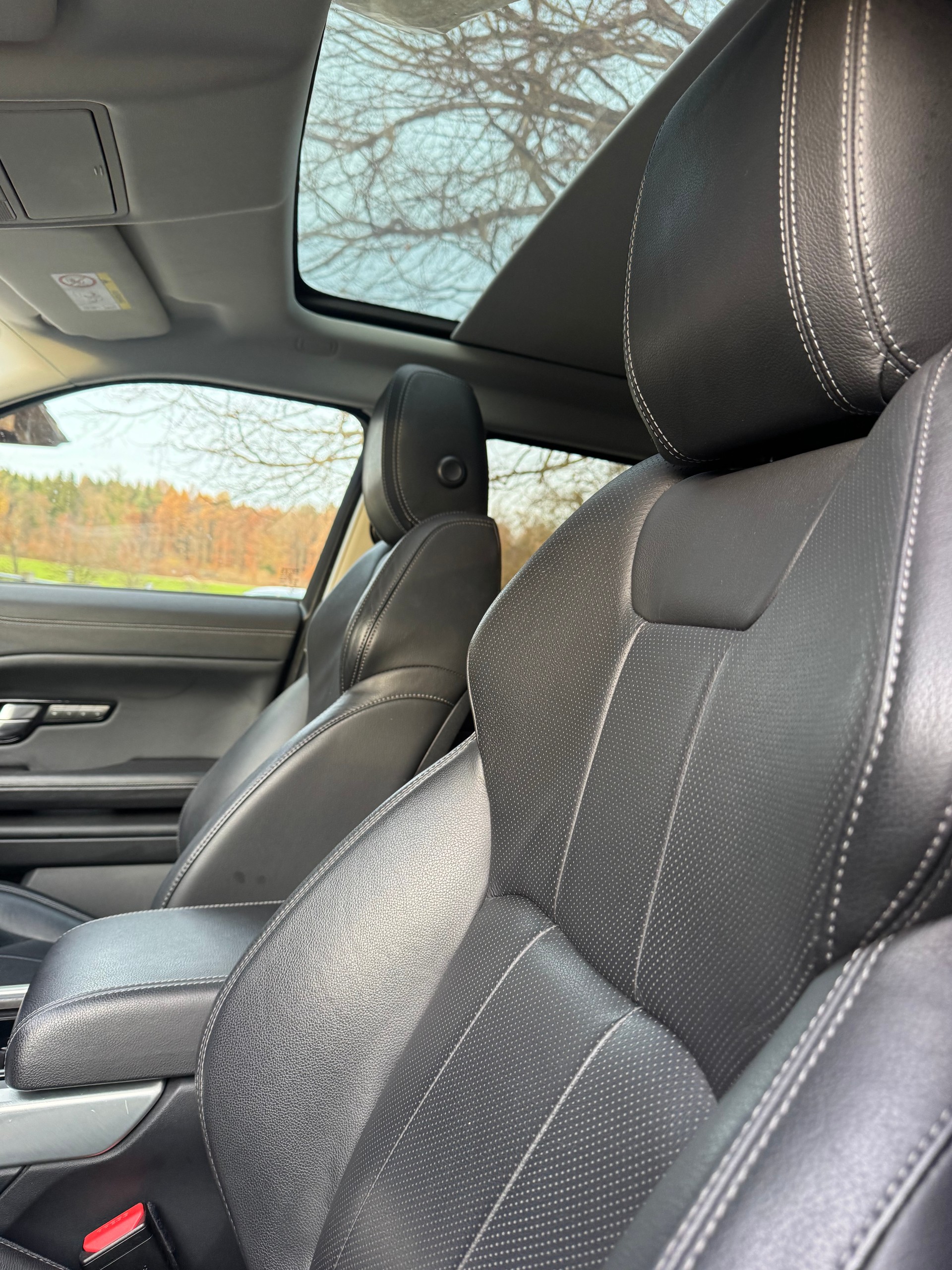 LAND ROVER Range Rover Evoque 2.0 Si4 SE Dynamic AT9-image-9