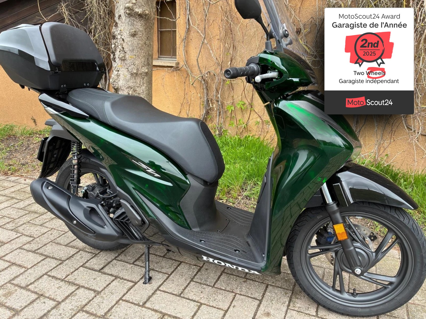HONDA SH 125 Sporty Vetro