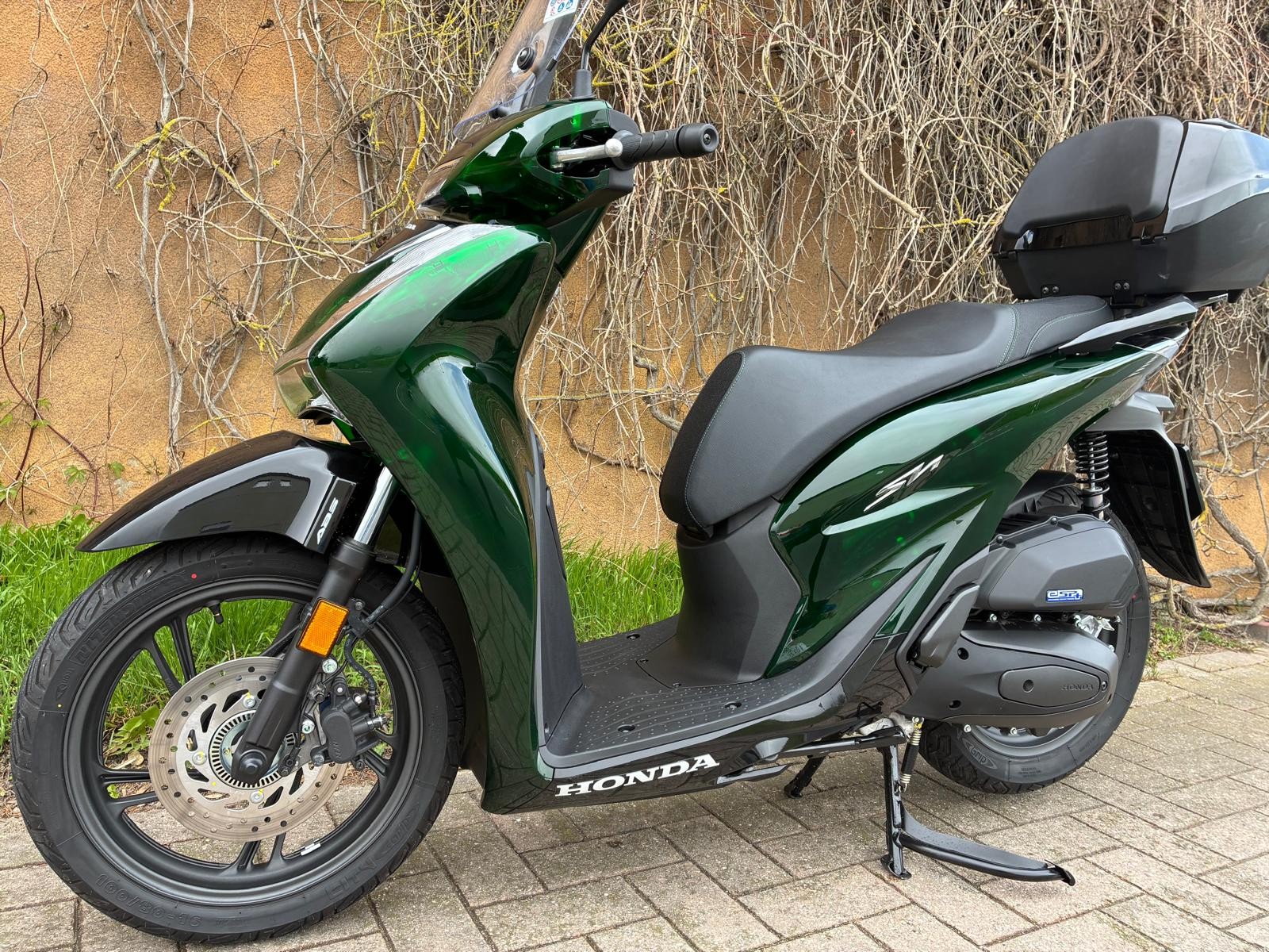 HONDA SH 125 Sporty Vetro-image-4