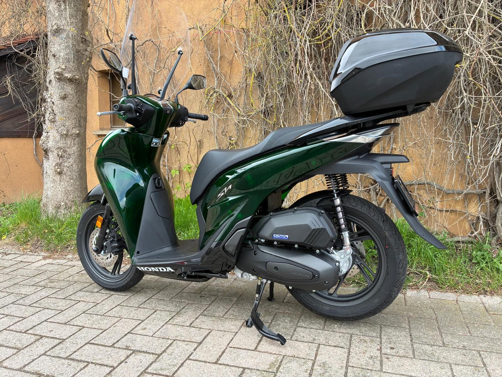 HONDA SH 125 Sporty Vetro-image-6