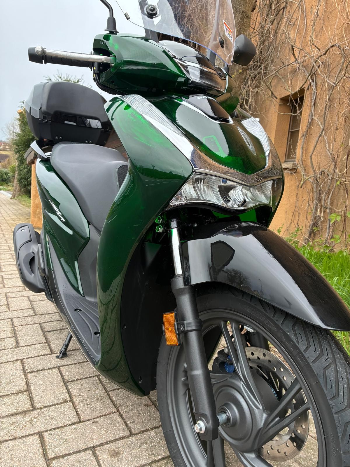 HONDA SH 125 Sporty Vetro-image-2
