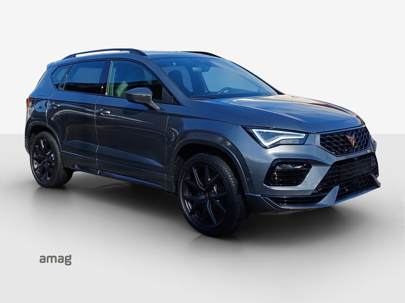 CUPRA CUPRA ATECA 300 PS 4DRIVE-image-5