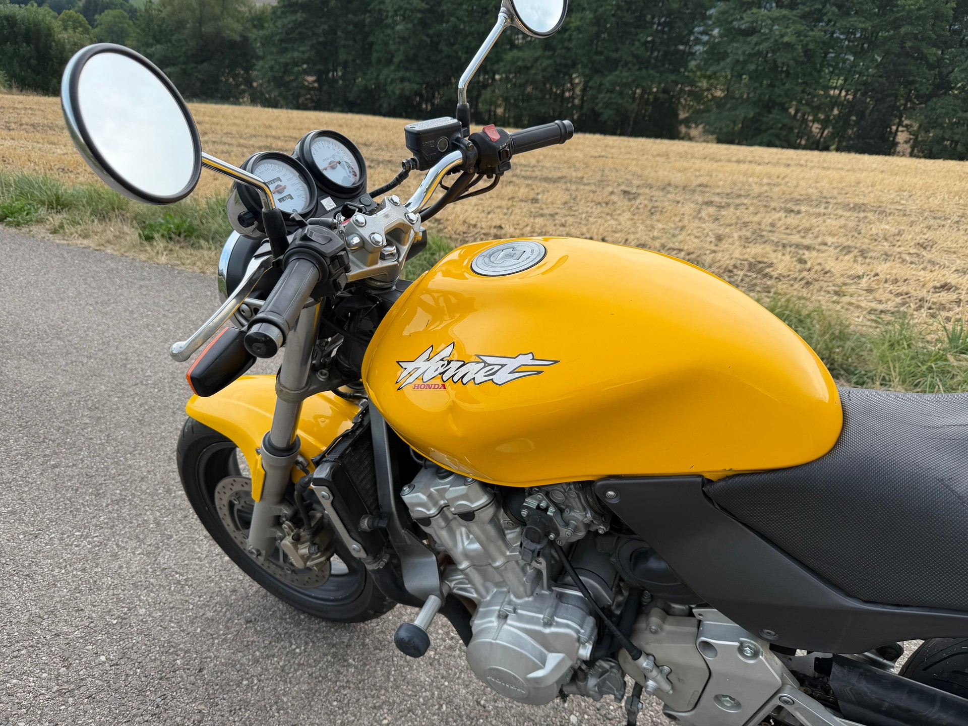 HONDA CB 600 F Hornet-image-11