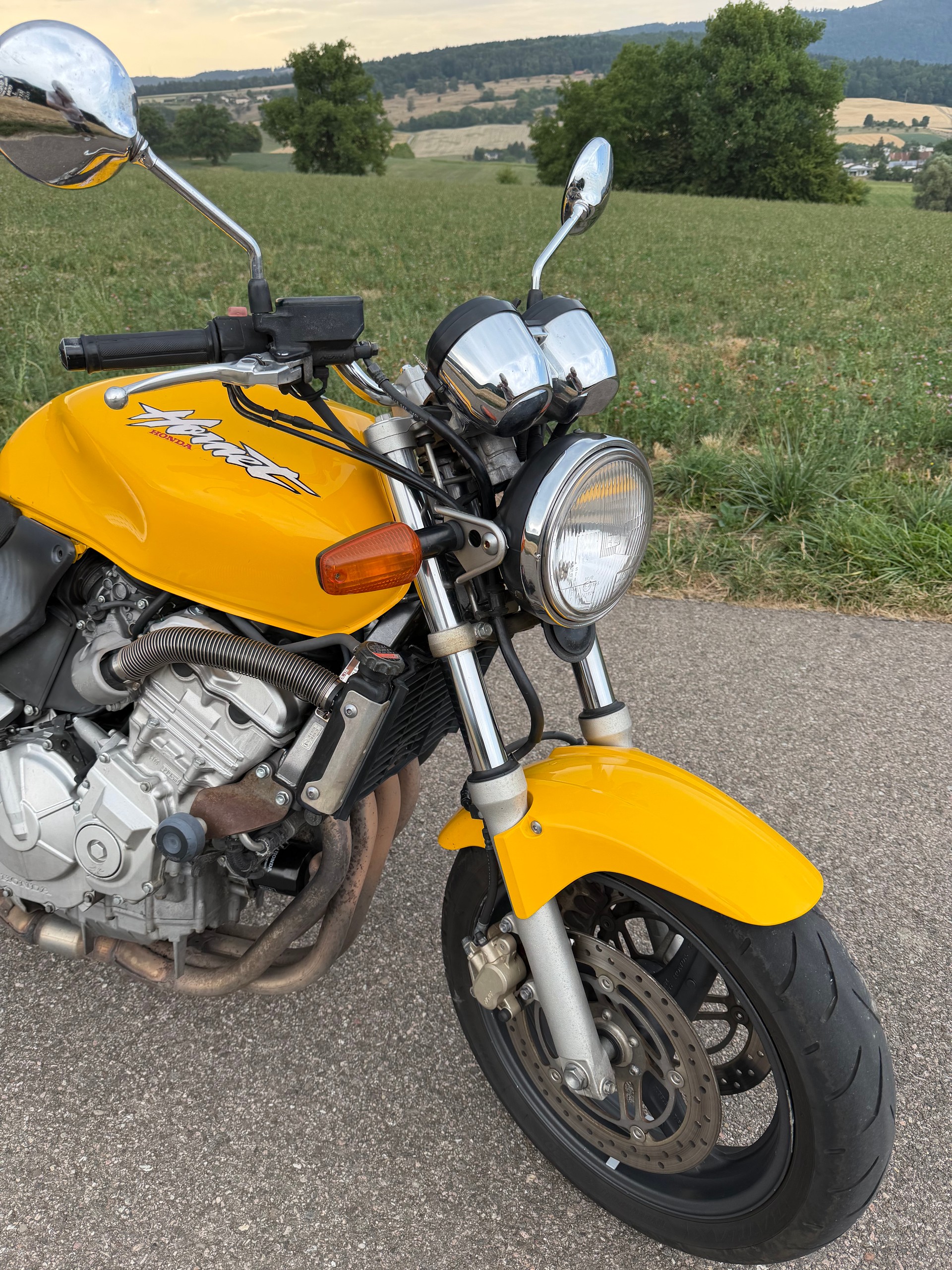 HONDA CB 600 F Hornet-image-7