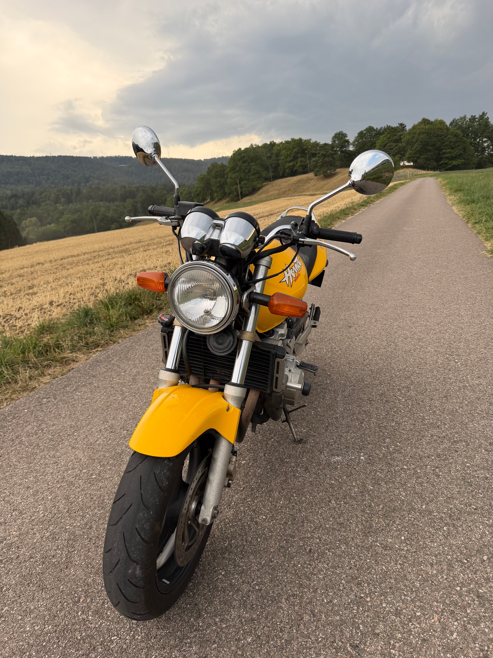 HONDA CB 600 F Hornet-image-6