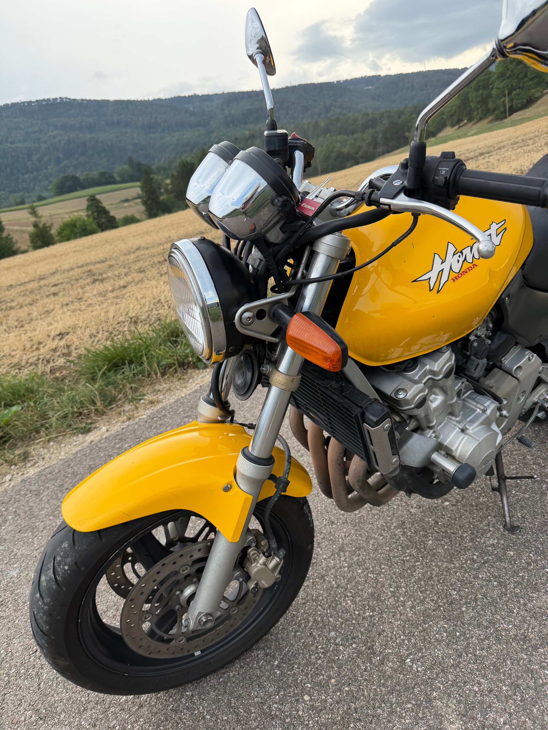 HONDA CB 600 F Hornet-image-9