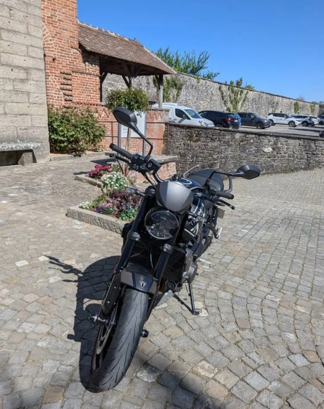 TRIUMPH Trident 660-image-2