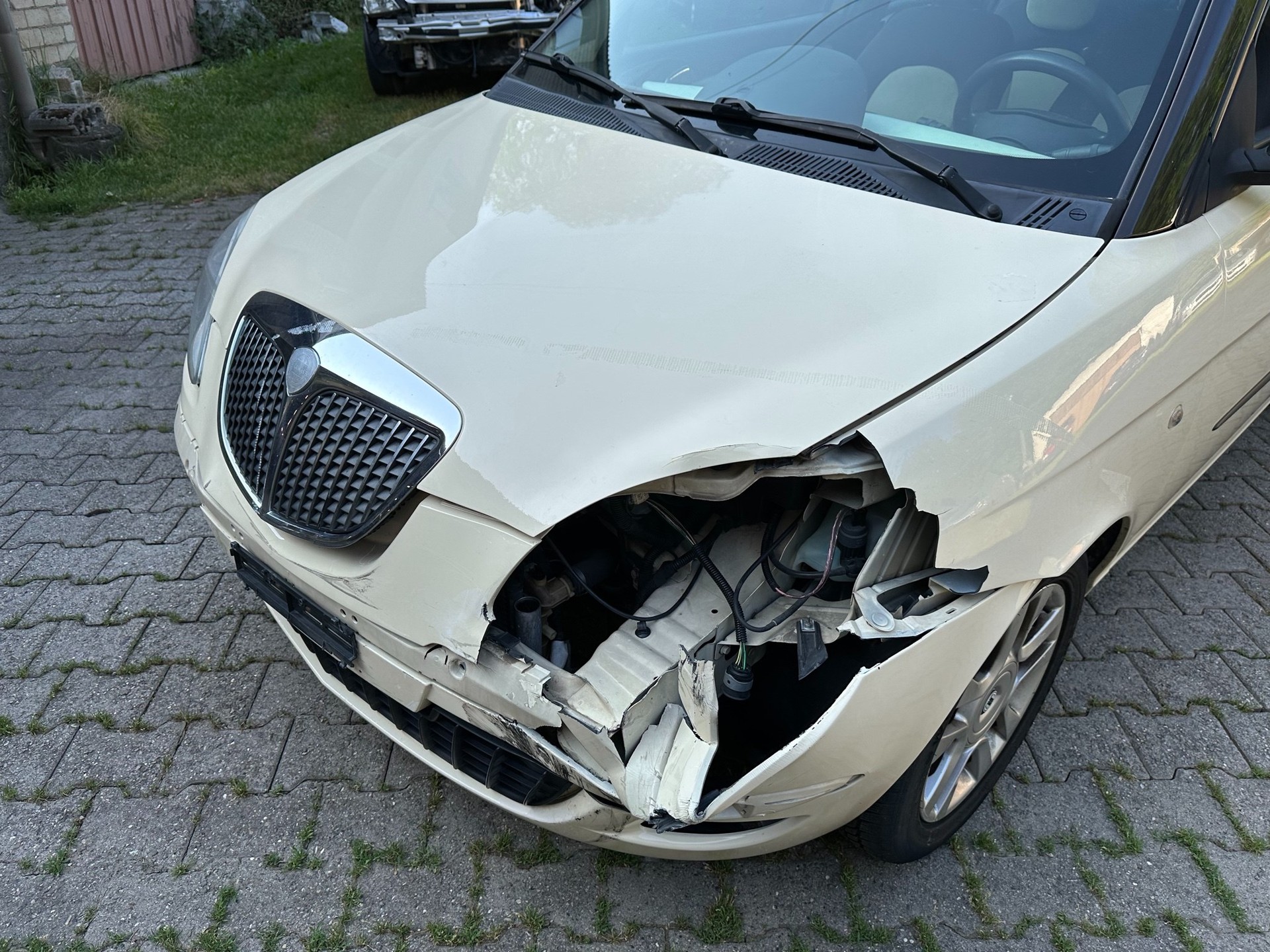 LANCIA Ypsilon 1.2 FIXPREIS-showroom-element-3