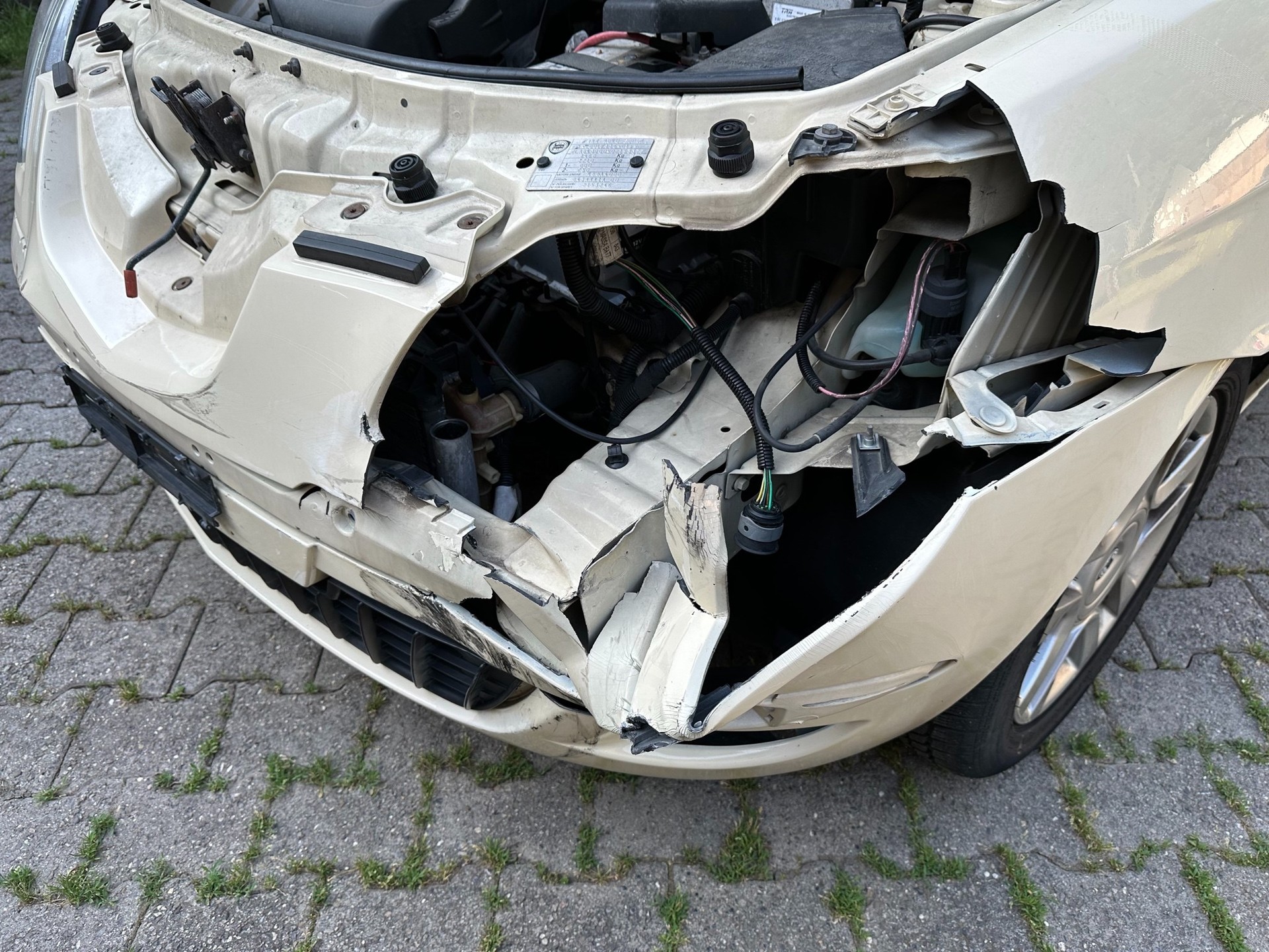 LANCIA Ypsilon 1.2 FIXPREIS-image-6