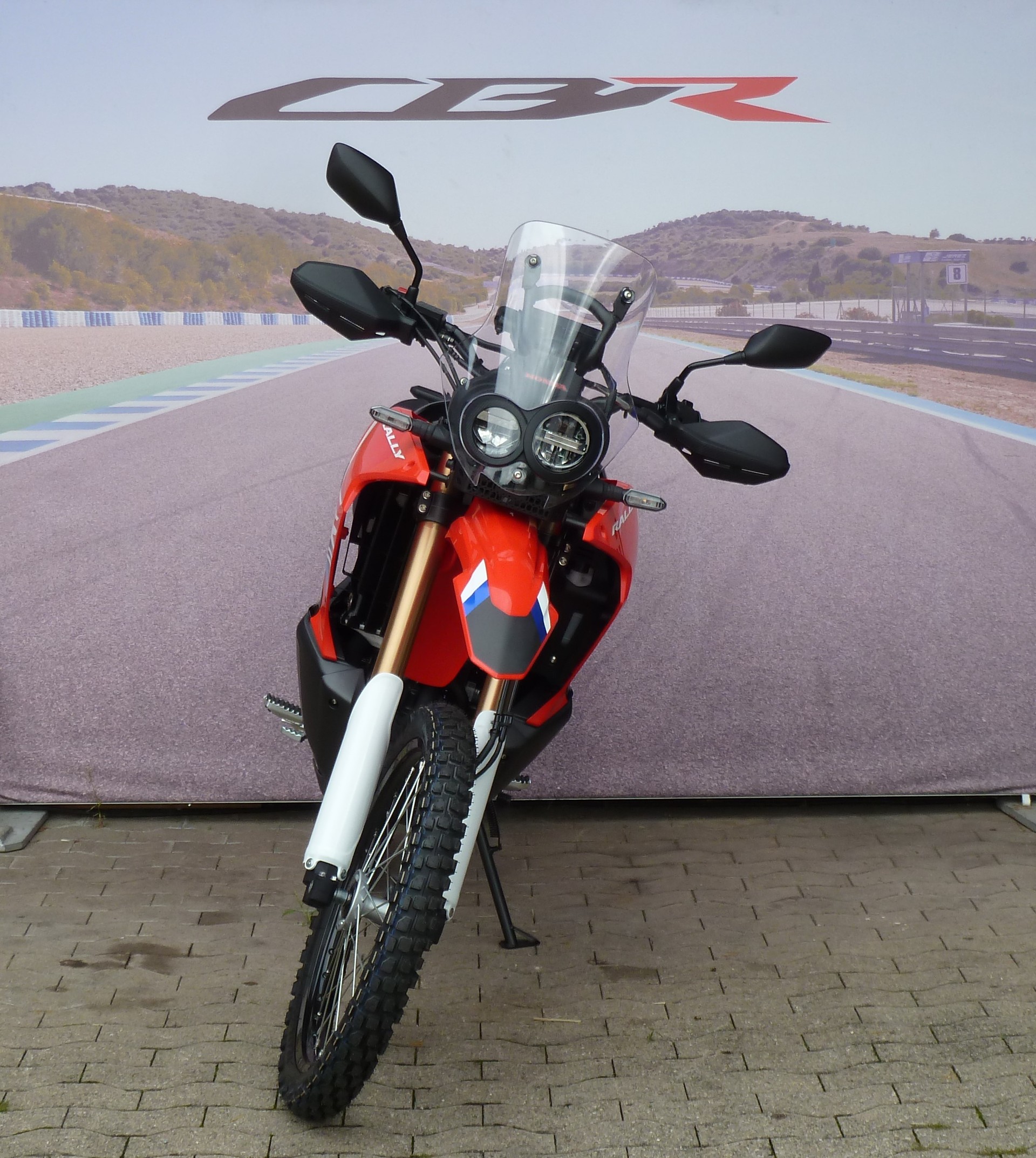 HONDA CRF 300 RL Rally-image-1