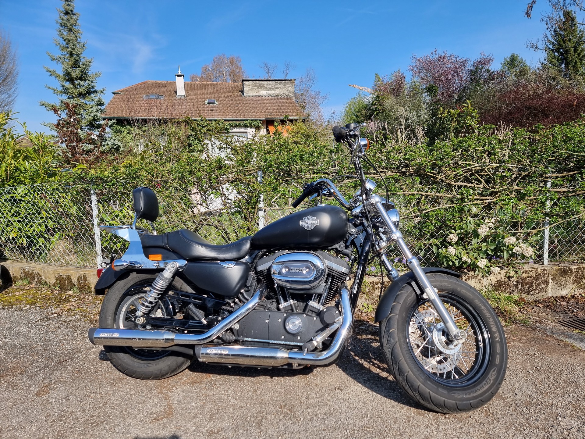 HARLEY-DAVIDSON XL 1200 CB Sportster Custom ABS-image-1