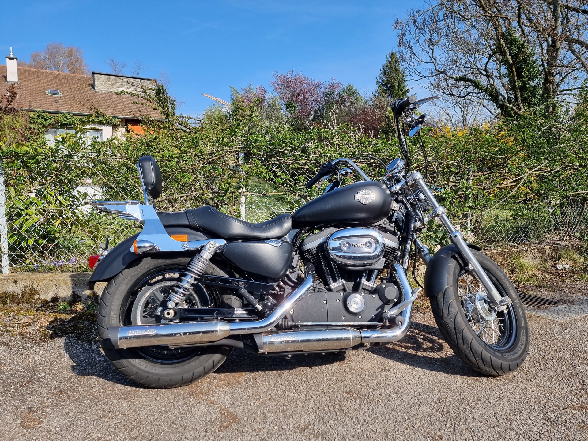 HARLEY-DAVIDSON XL 1200 CB Sportster Custom ABS-image-0