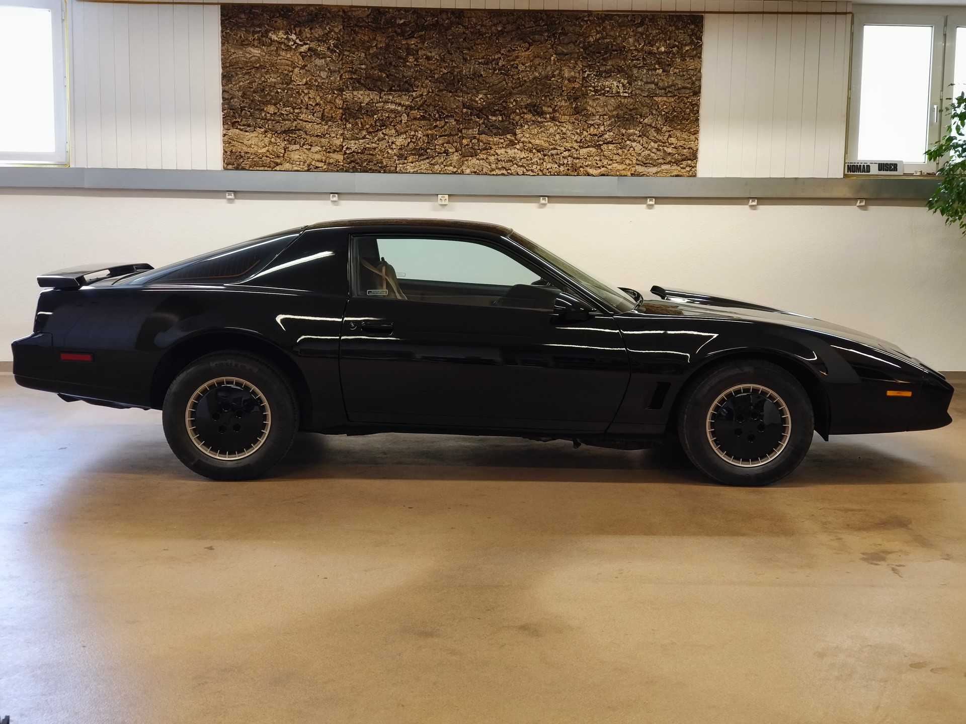 PONTIAC Firebird 5.0 V8 Trans Am-image-10