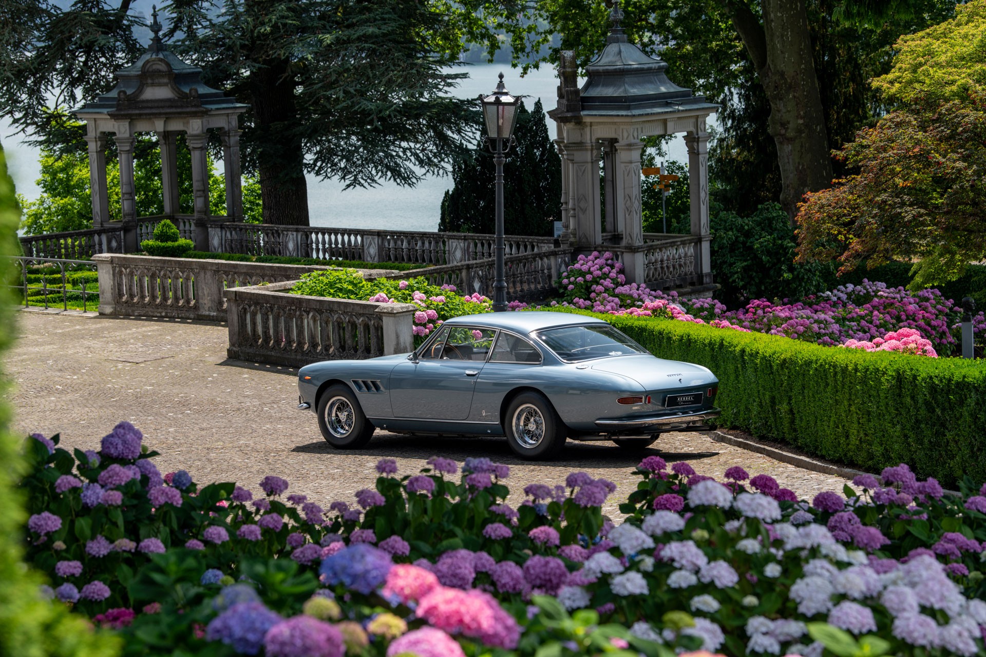 FERRARI 330 GT-showroom-element-2