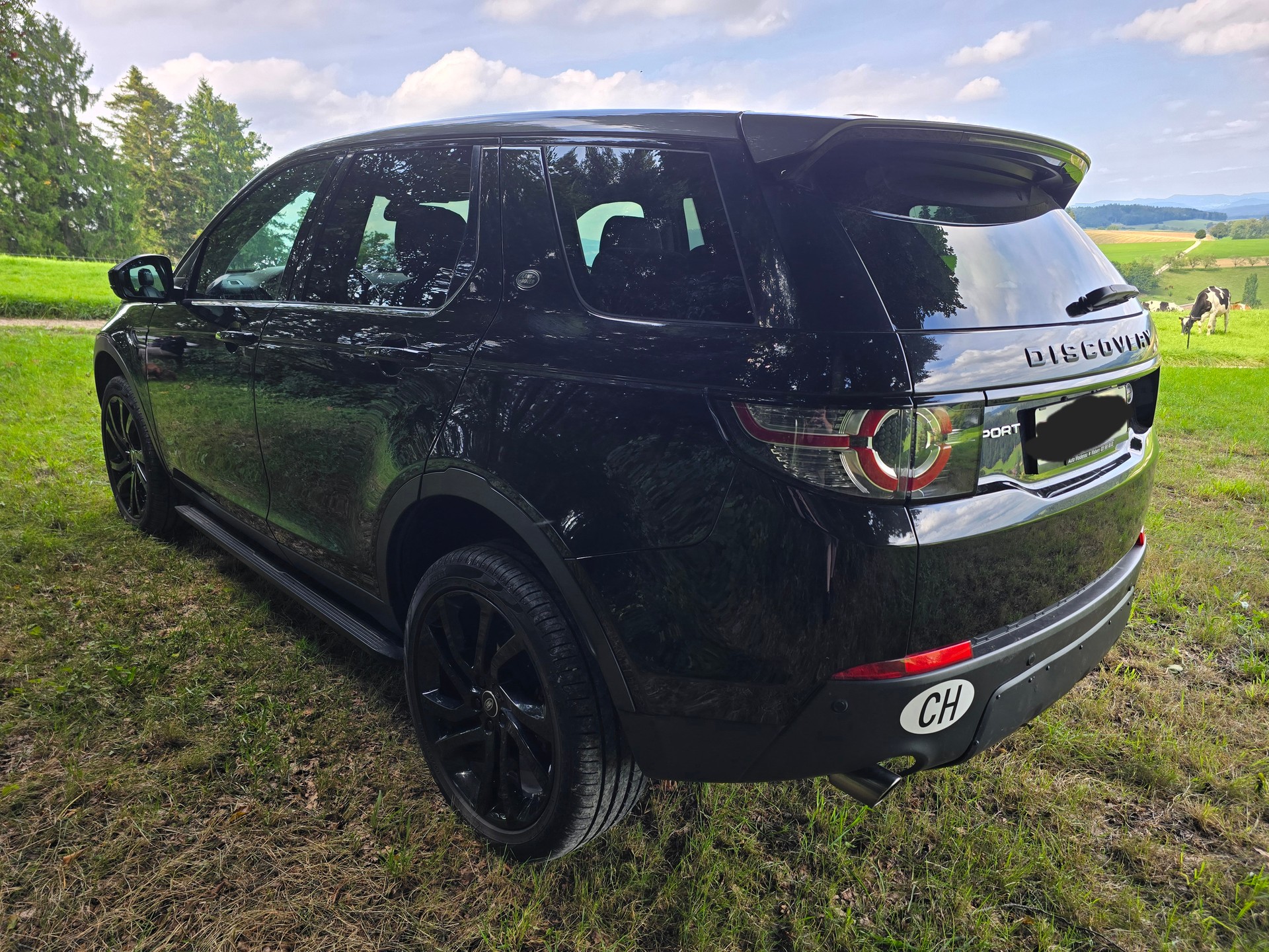 LAND ROVER Discovery Sport 2.0 TD4 SE AT9-image-9