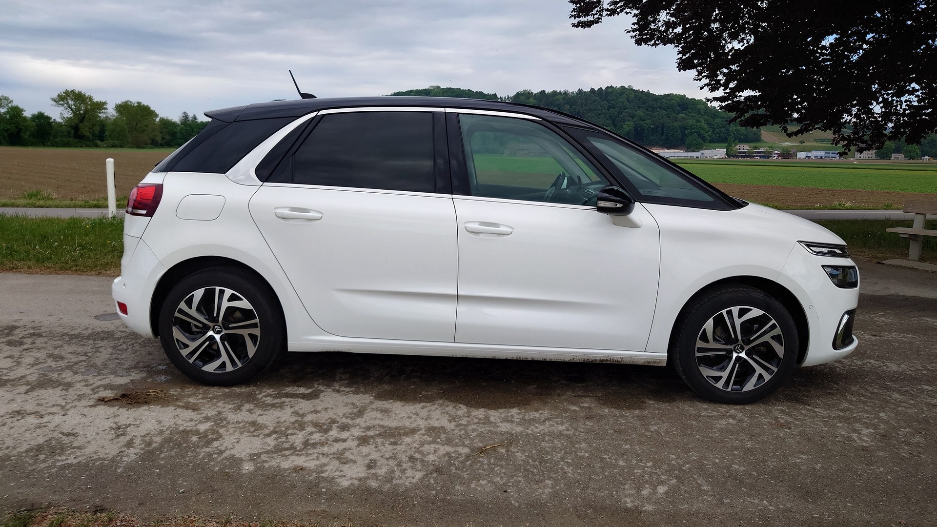 CITROEN C4 Spacetourer 1.5 BlueHDi Shine EAT8-image-6