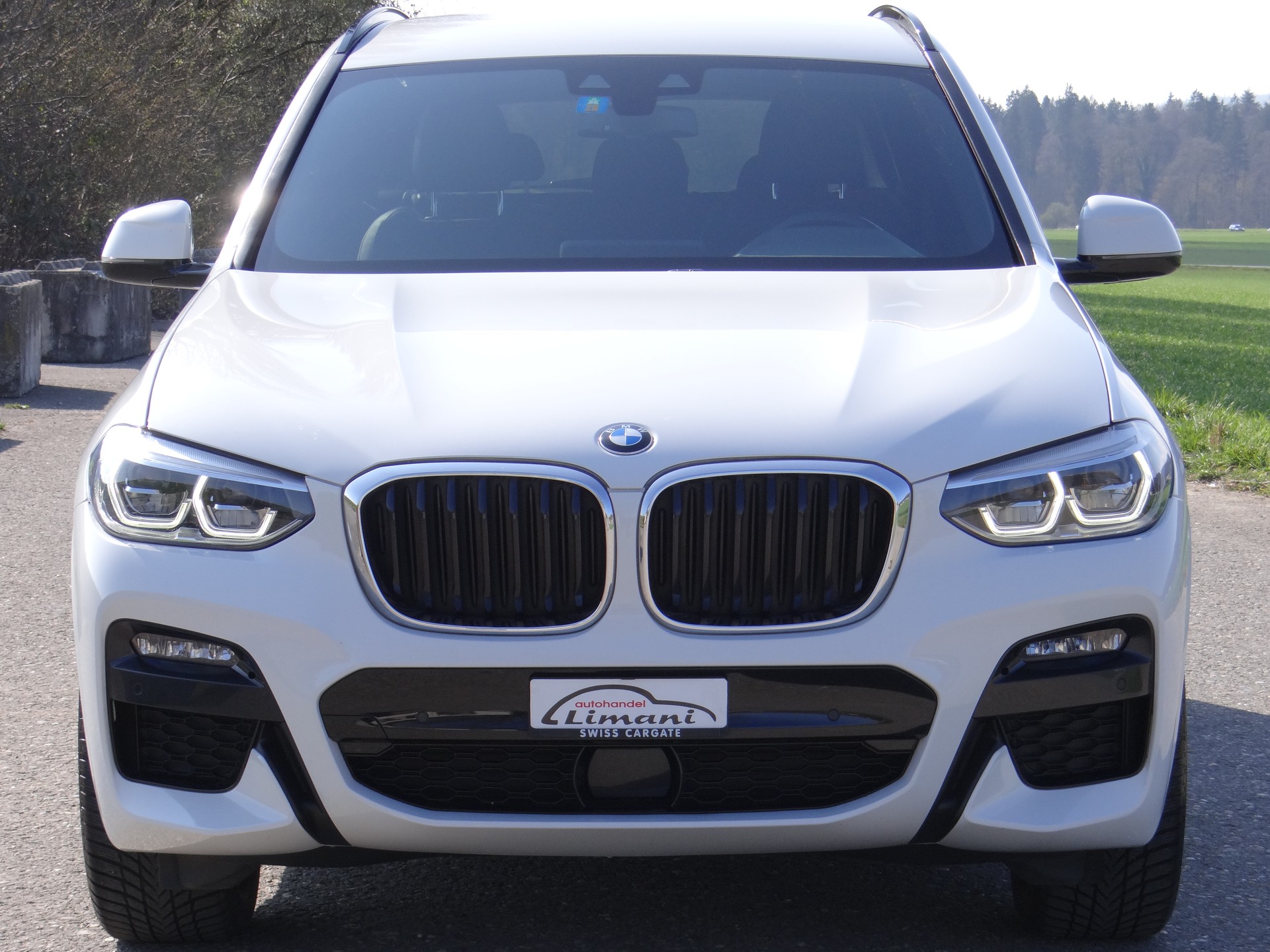 BMW X3 xDrive 20d M Sport Steptronic-showroom-element-2