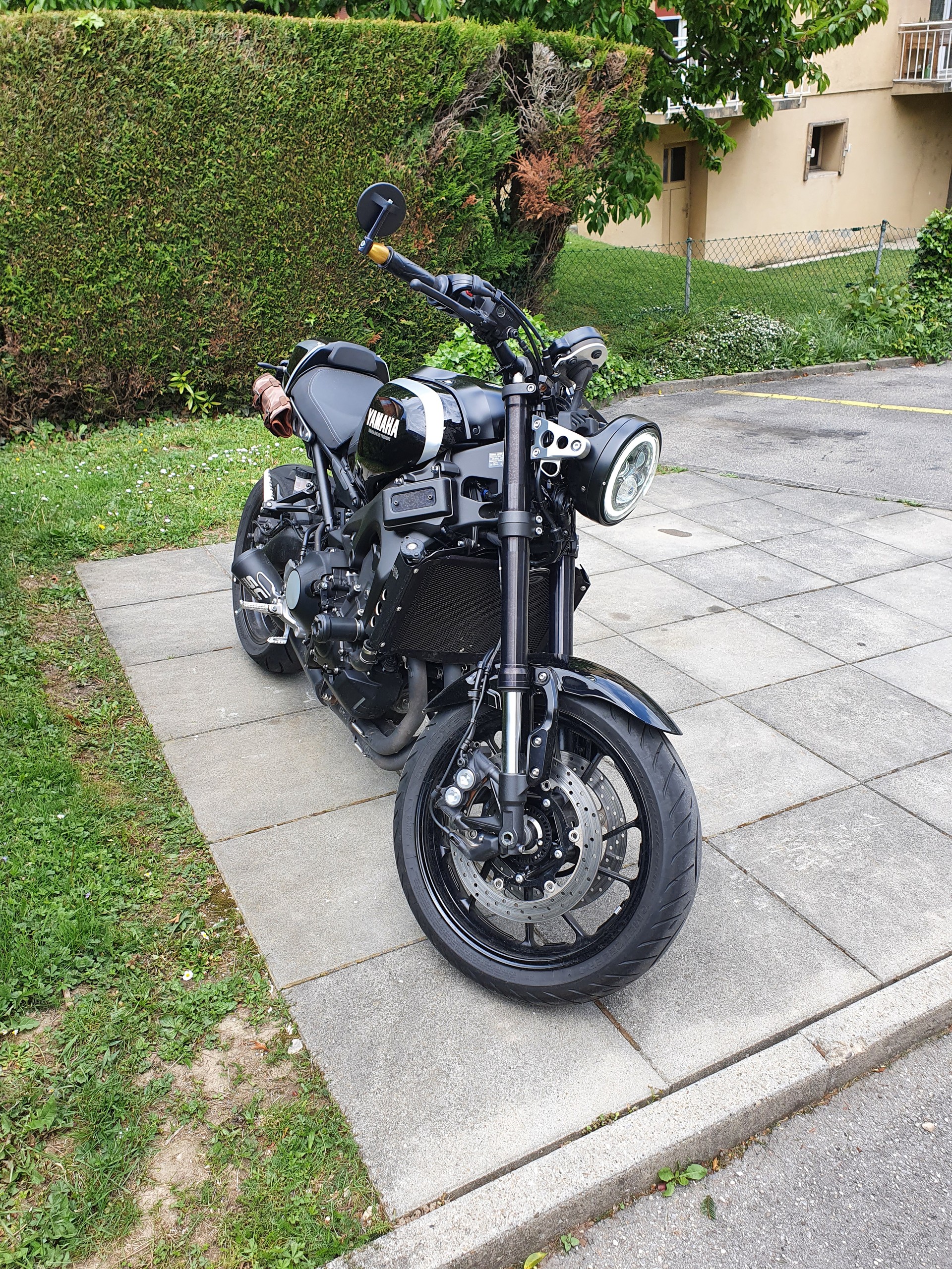 YAMAHA XSR 900-image-7