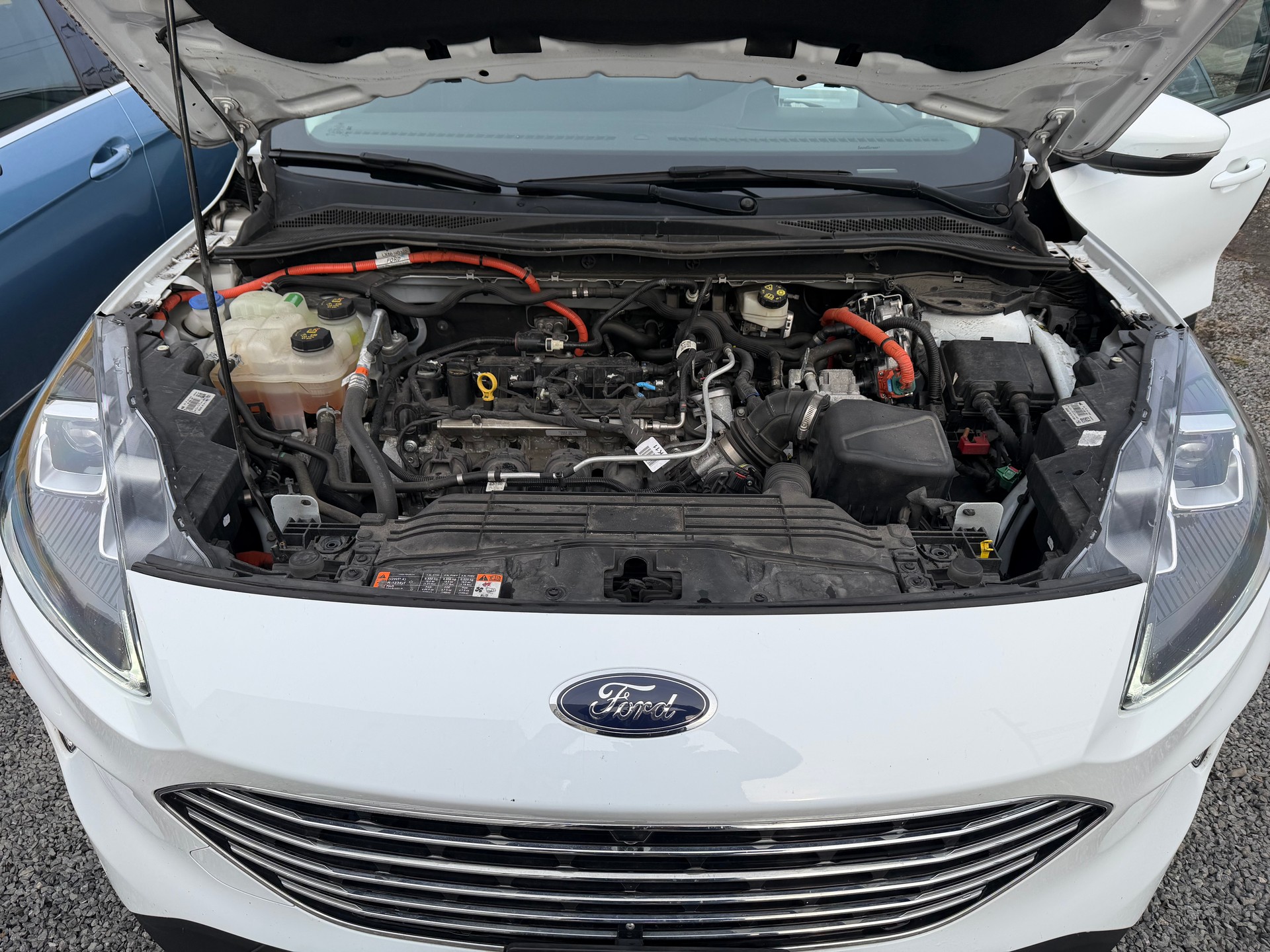 FORD Kuga 2.5 FHEV Titanium 4WD-image-5