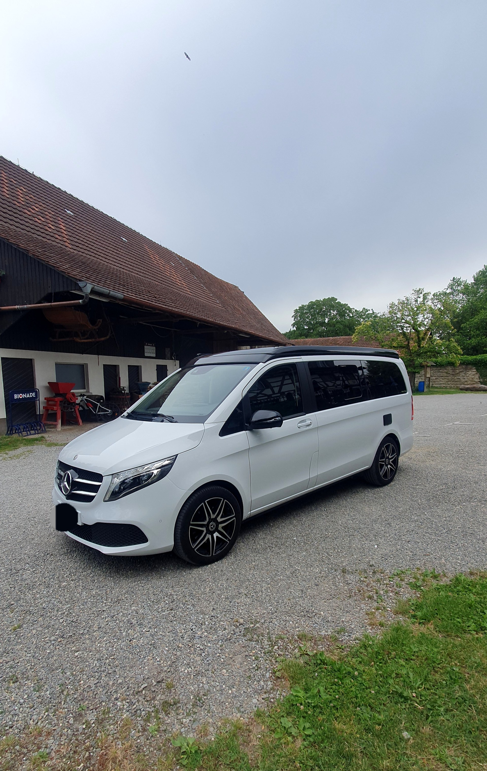 MERCEDES-BENZ Marco Polo 4matic 250d 360° Kamera