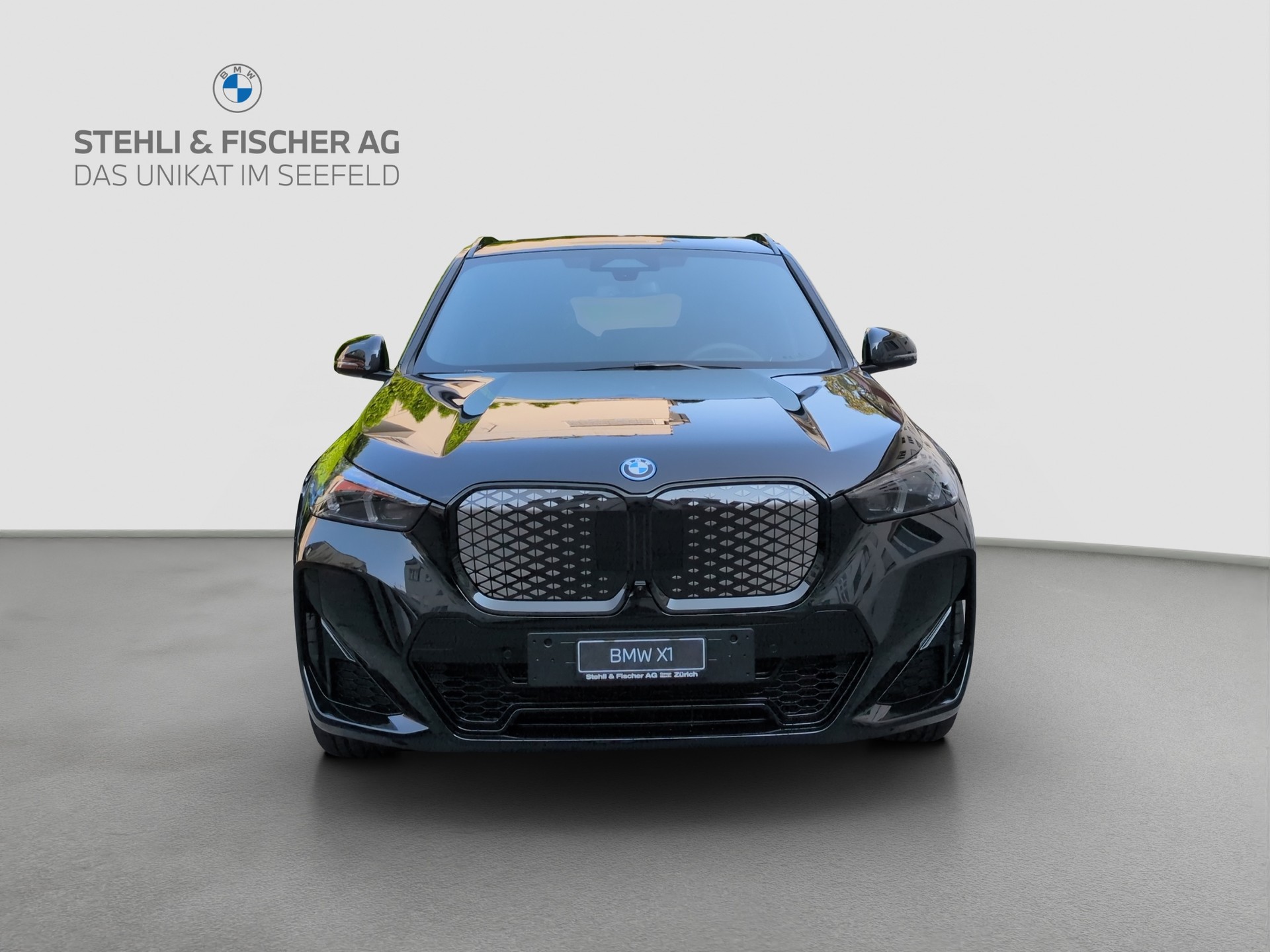 BMW iX1 xDrive 30 M Sport Pro-showroom-element-1