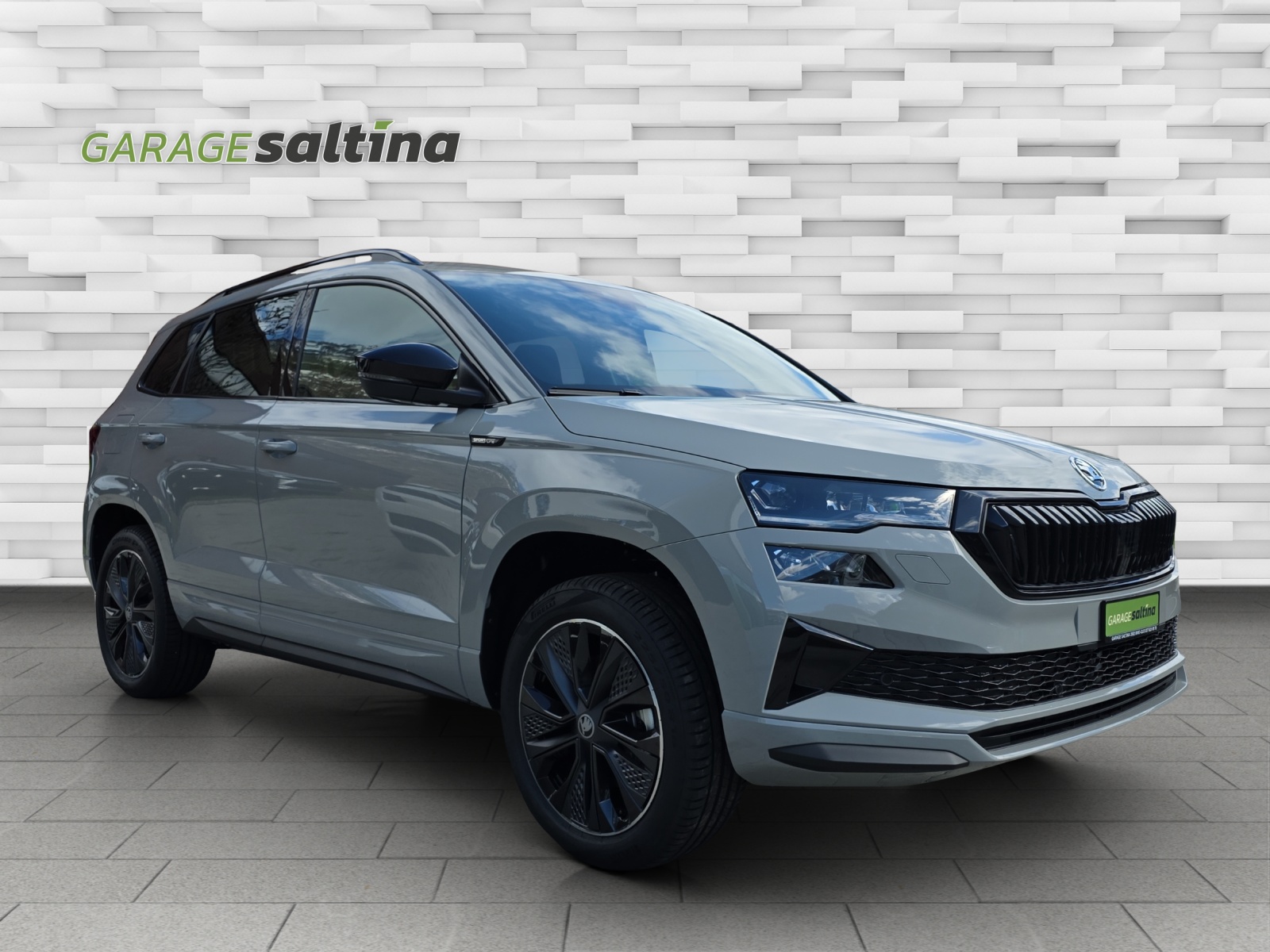 SKODA Karoq 2.0 TSI Dynamic Limited Edition 4x4 DSG-showroom-element-3