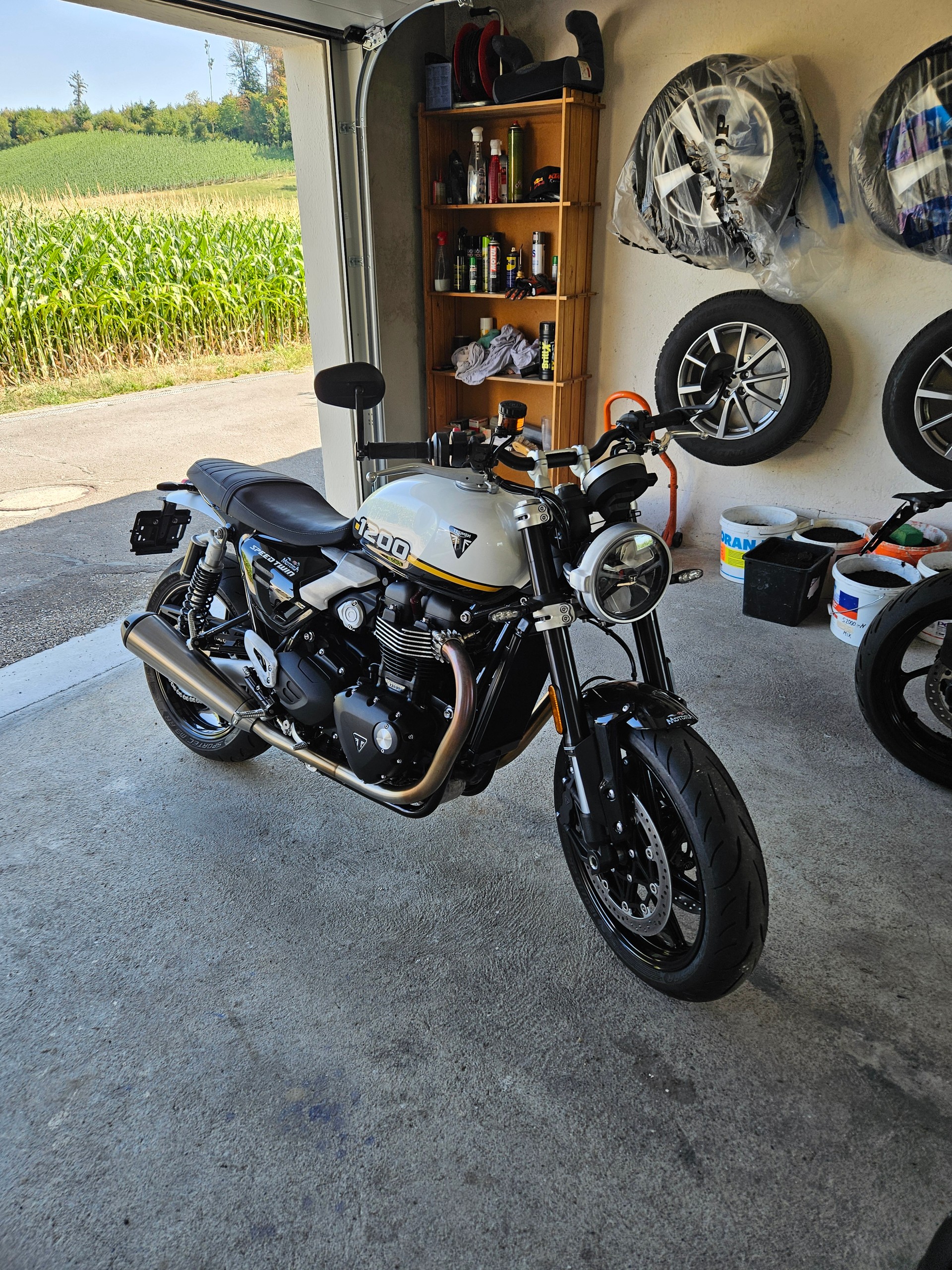TRIUMPH Speed Twin 1200-image-4