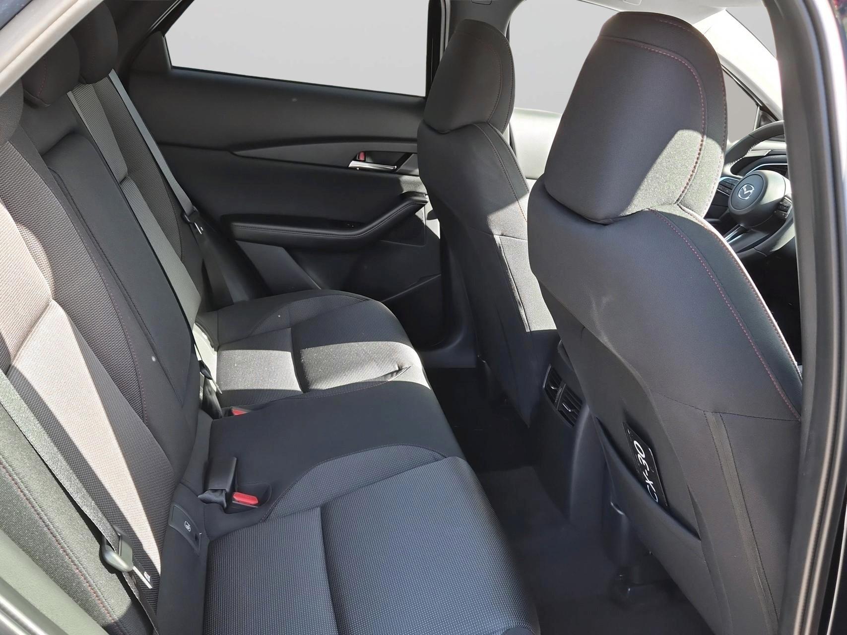 MAZDA CX-30 SKYACTIV-X 186 M Hybrid Homura FWD AT-image-13