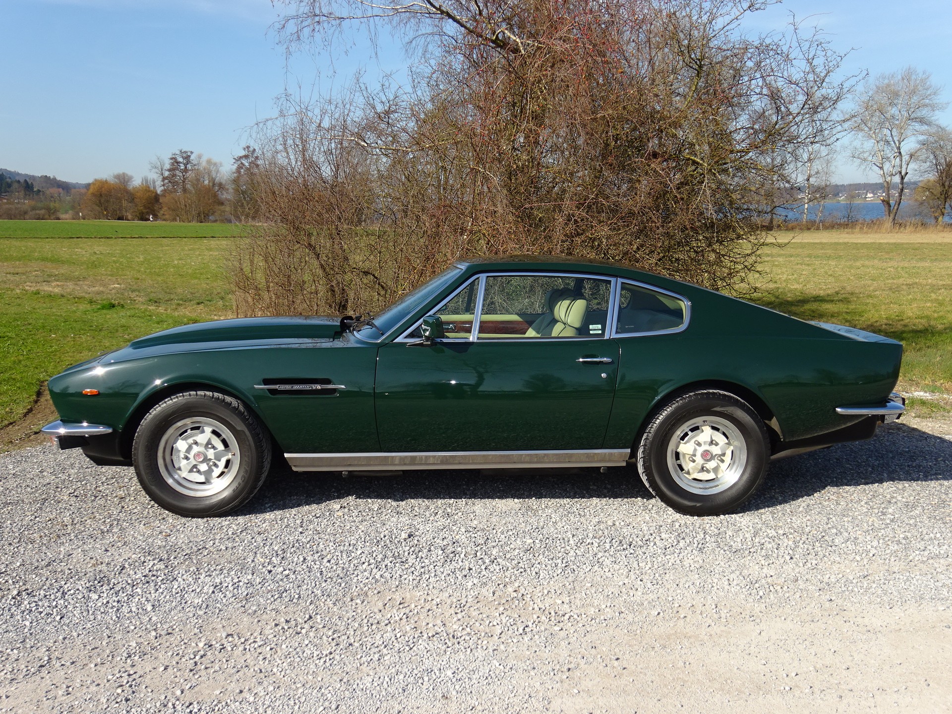 ASTON MARTIN V8 OI-image-2