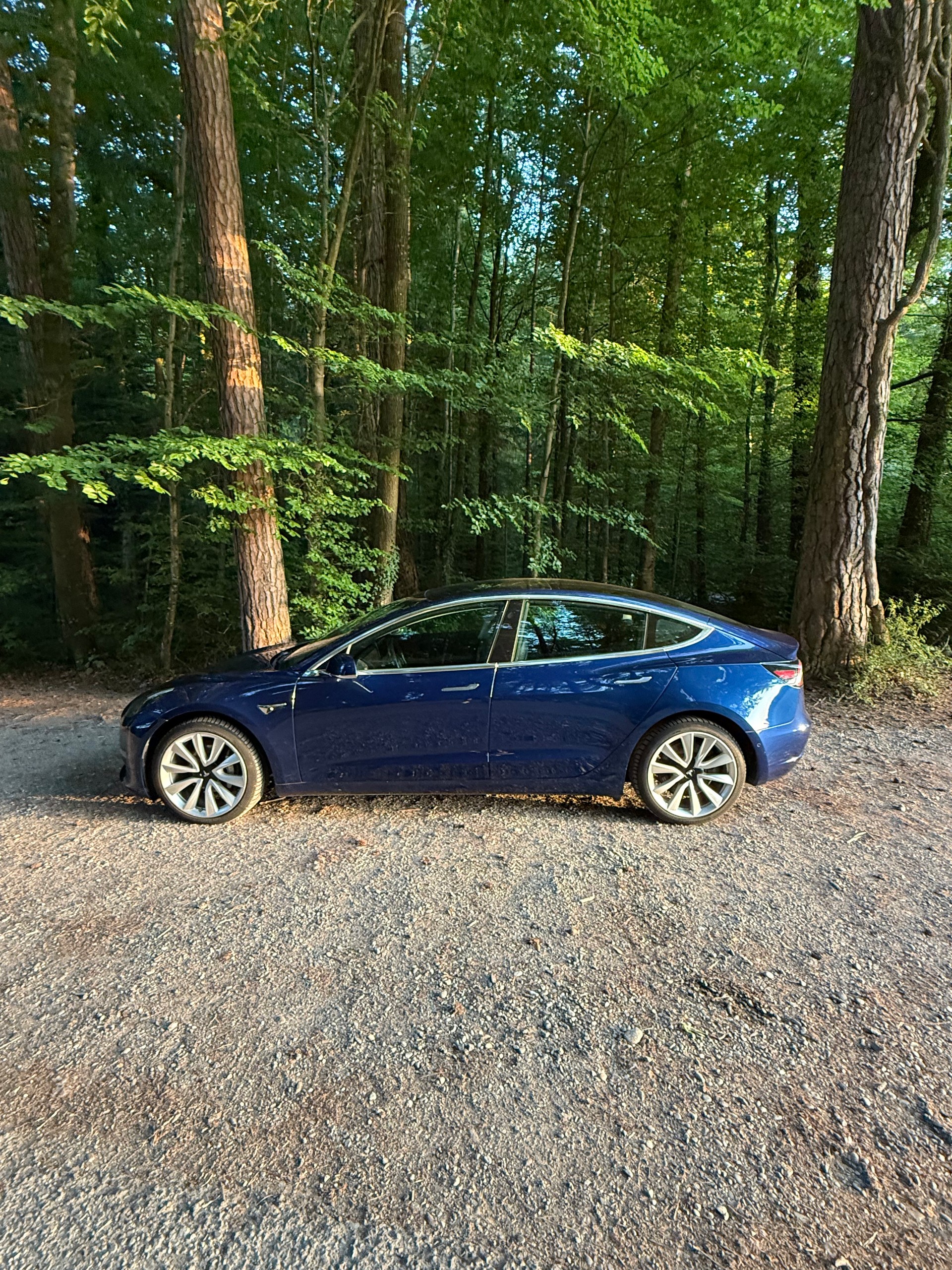 TESLA Long Range D