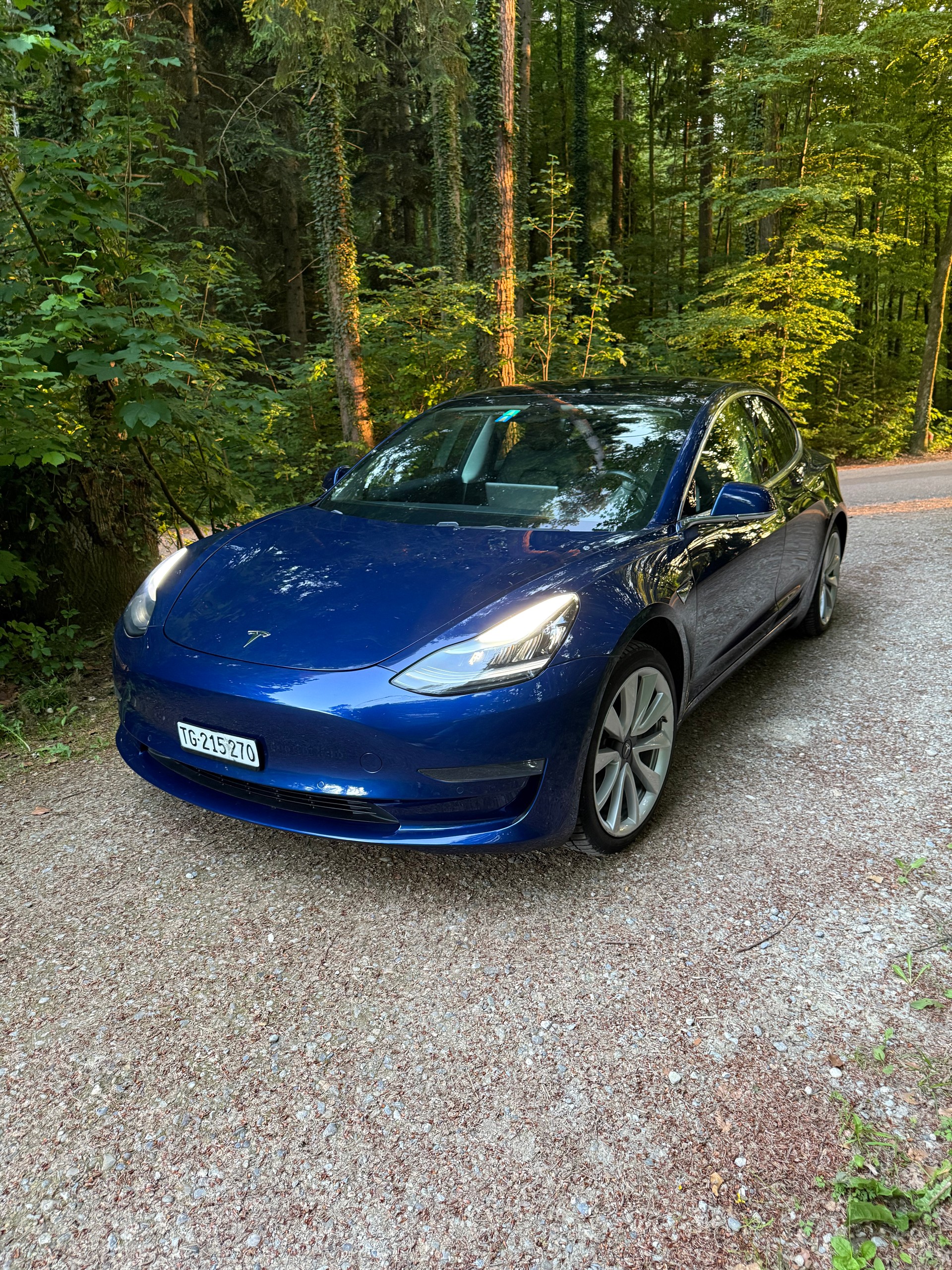TESLA Long Range D-image-2